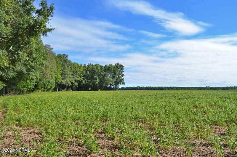 Stantonsburg, Wayne County, NC Undeveloped Land for sale Property ID