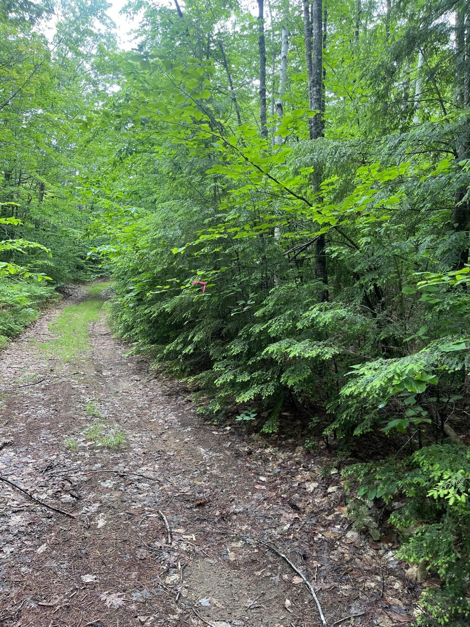 Tbd Otter Pond Road, Bridgton, ME 04009 MLS 1567043 LandWatch