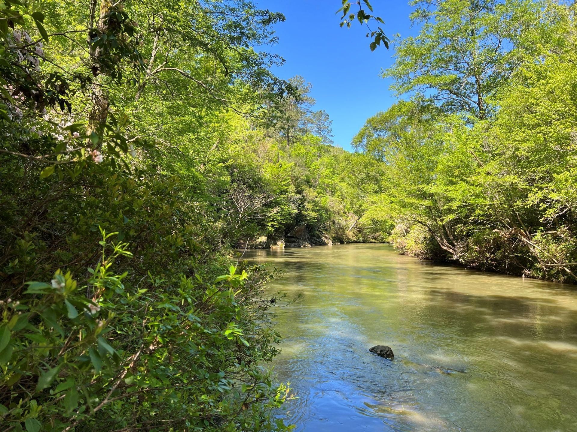 Cragford, Clay County, AL Timberland Property, Hunting Property, House for sale Property ID