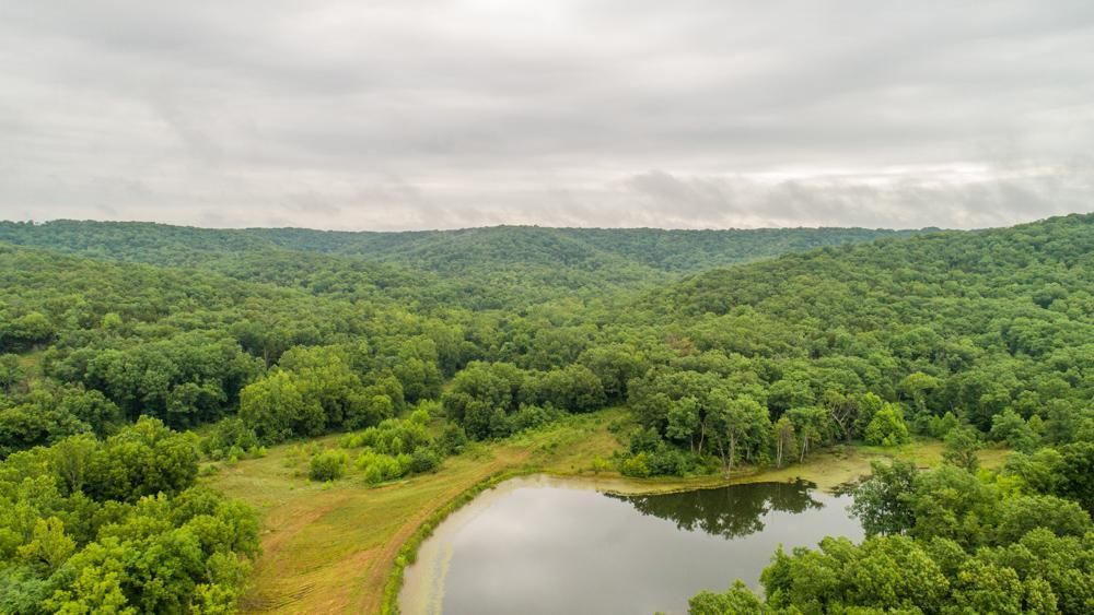 Rhineland, Montgomery County, MO Recreational Property, Timberland