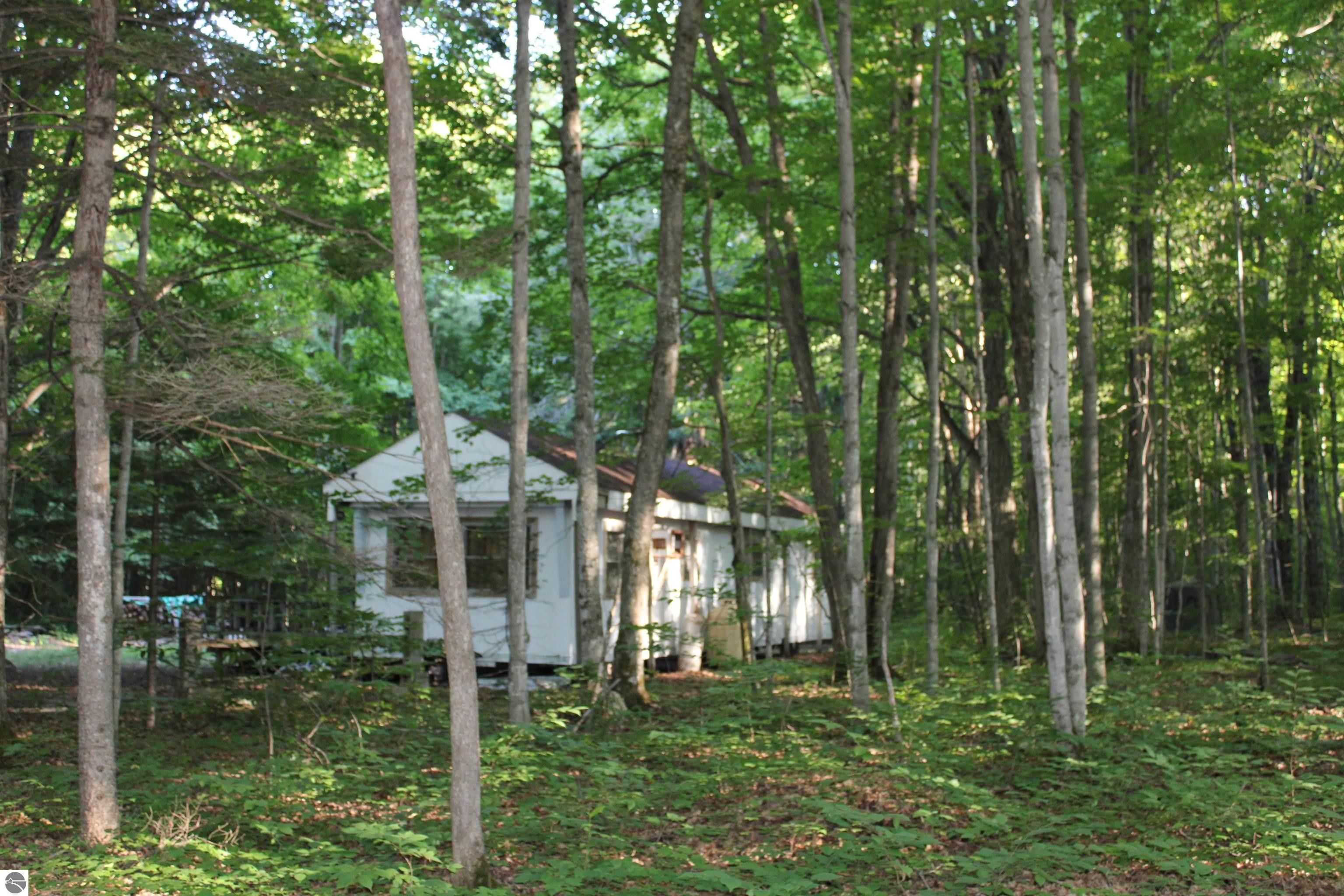 Mancelona, Kalkaska County, MI House for sale Property ID 417194800