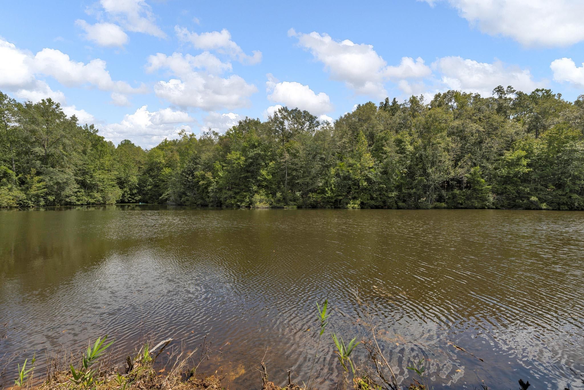 463 Fannin Mill Road, Grady, AL 36036 MLS 537356 LandWatch