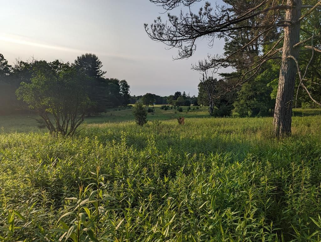 State Route 3001, Sigel, PA 15860 MLS 158079 LandWatch