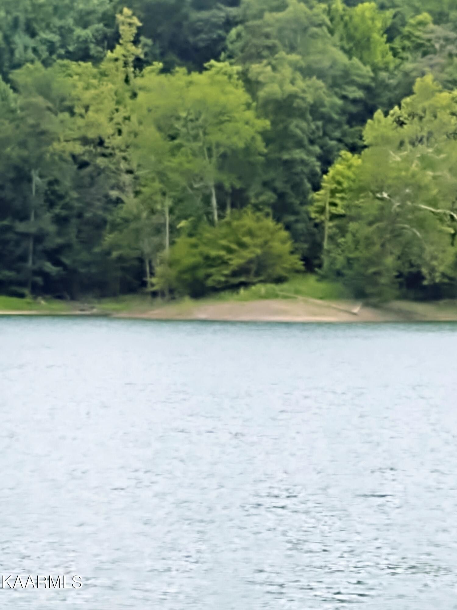 Sharps Chapel, Union County, TN Undeveloped Land, Lakefront Property