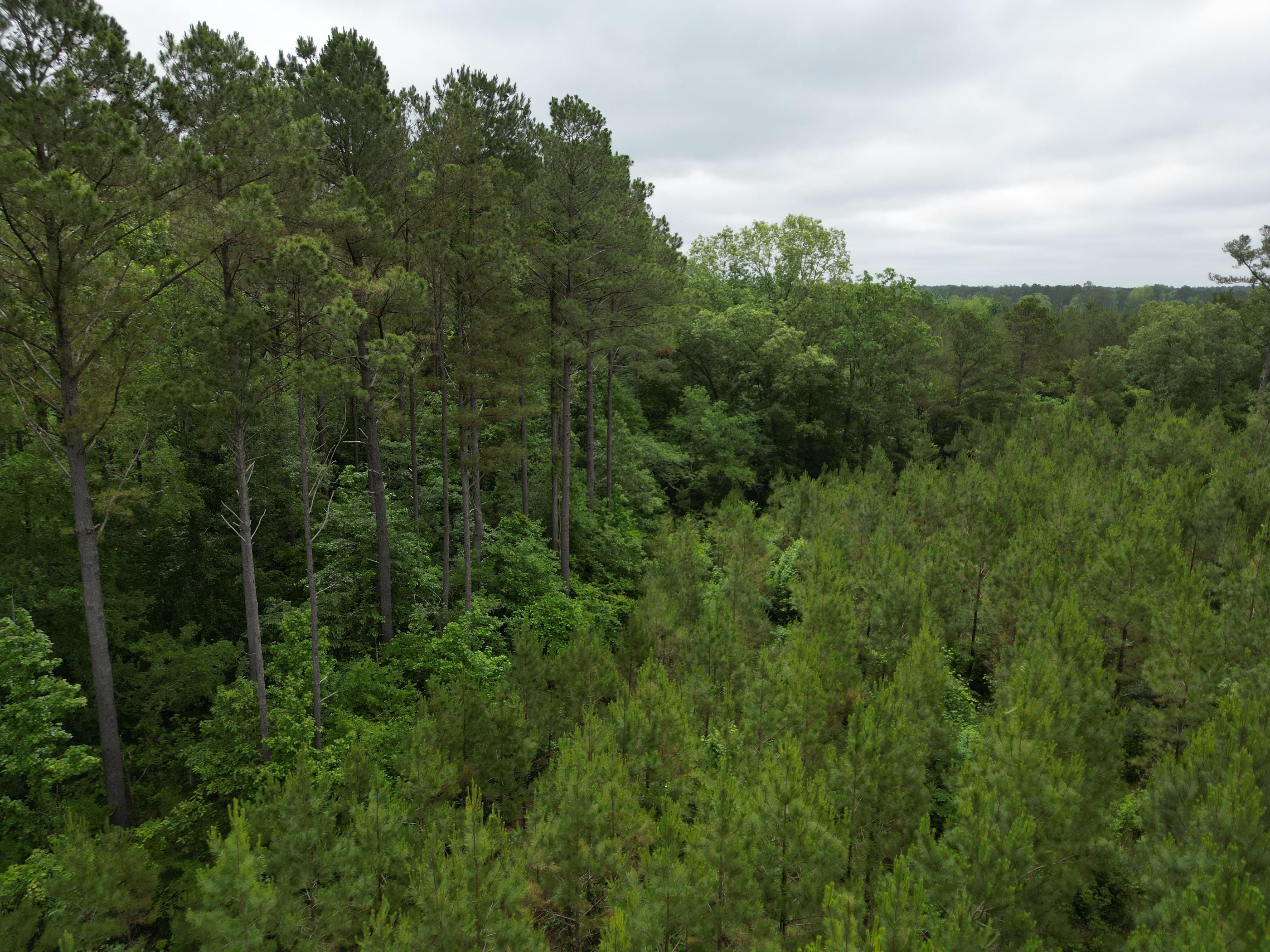 West, Attala County, MS Recreational Property, Timberland Property
