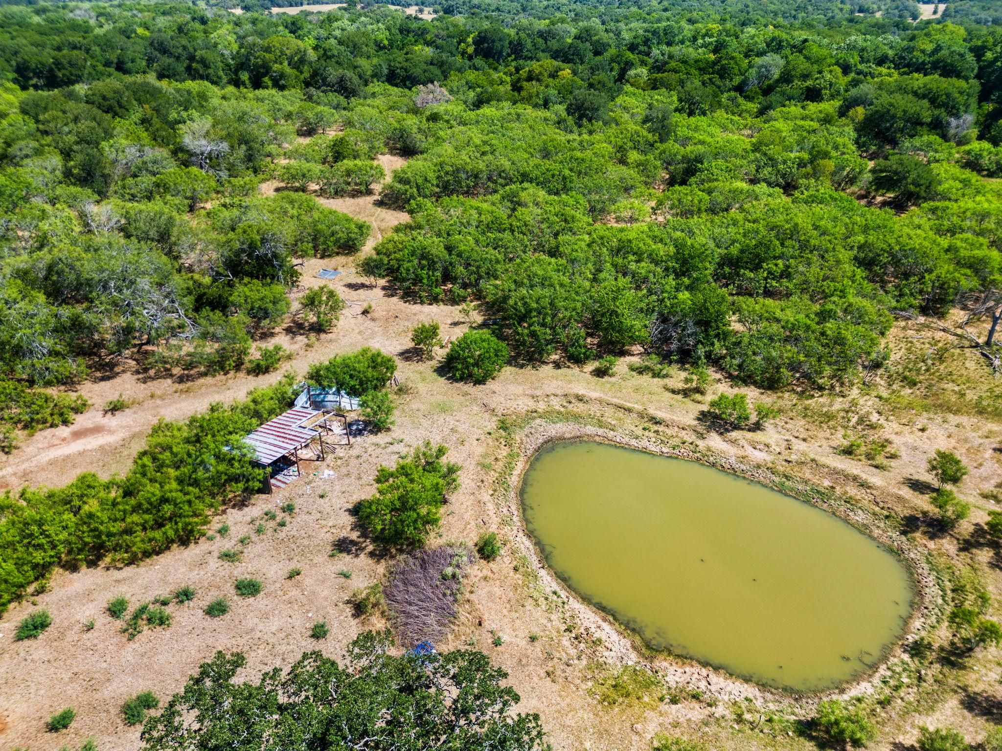 Lockhart, Caldwell County, TX Farms and Ranches, Hunting Property
