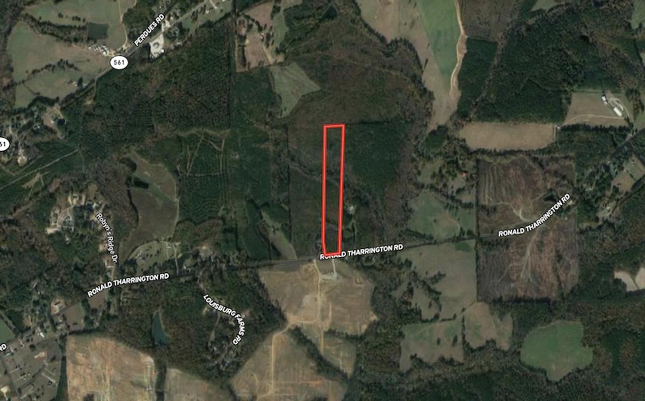 Louisburg, Franklin County, NC Recreational Property, Timberland