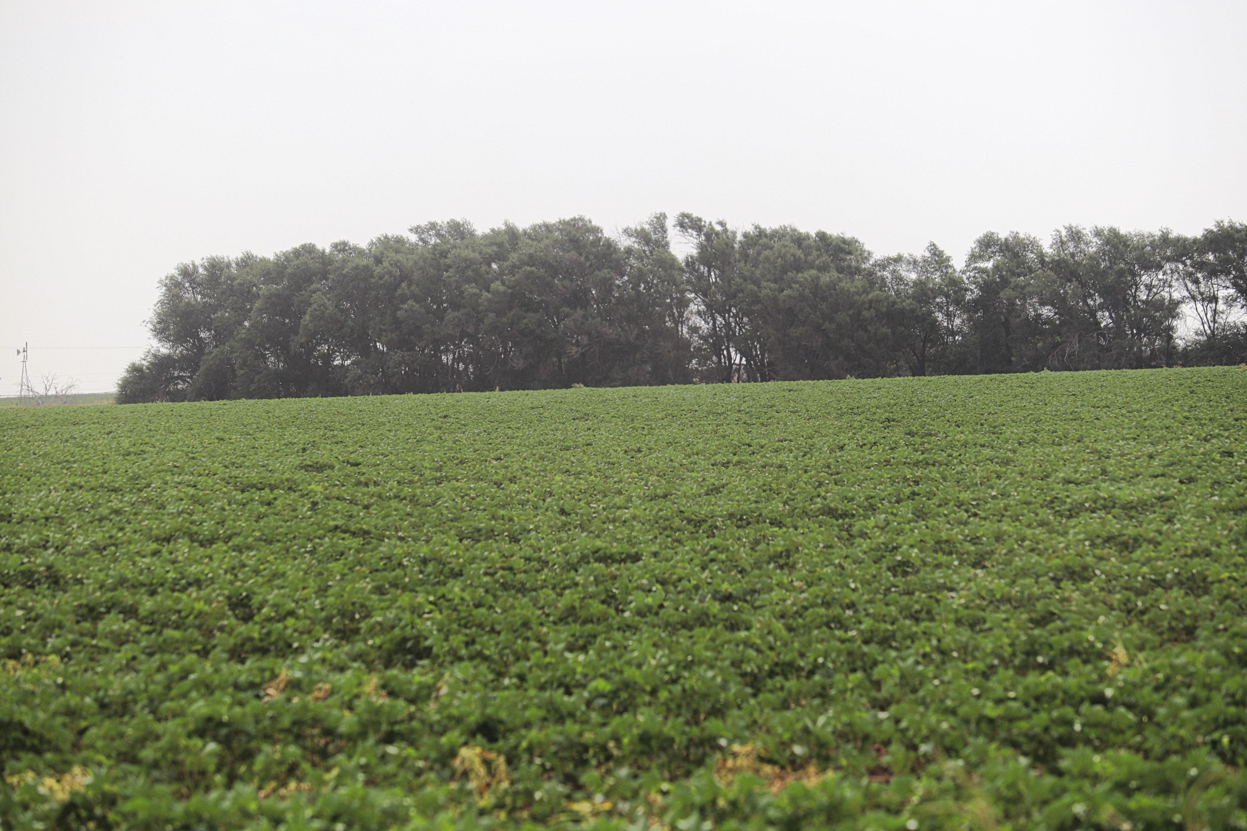 Plainview, Floyd County, TX Farms and Ranches for sale Property ID 417195977 LandWatch