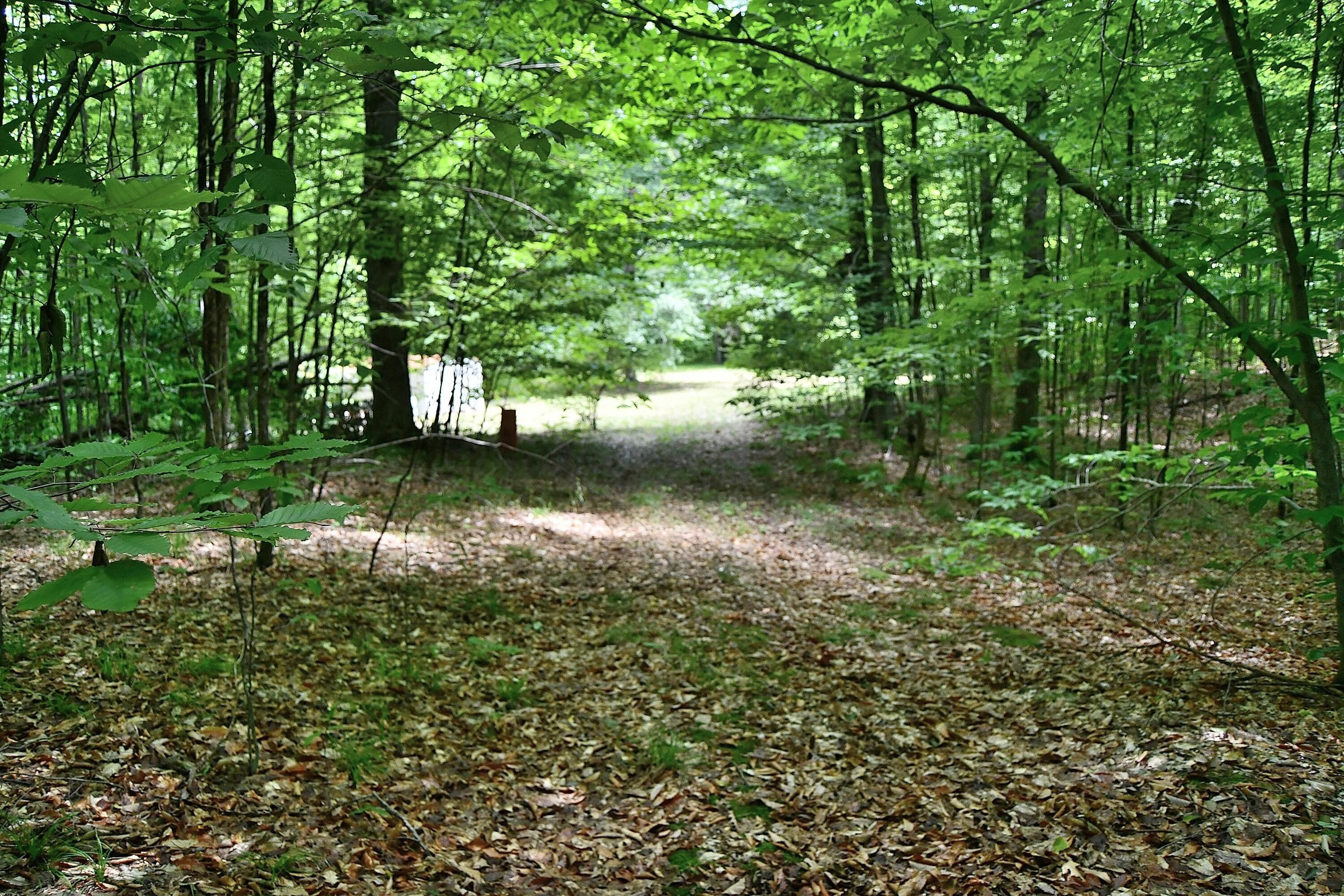 Fairview, Oscoda County, MI Undeveloped Land for sale Property ID