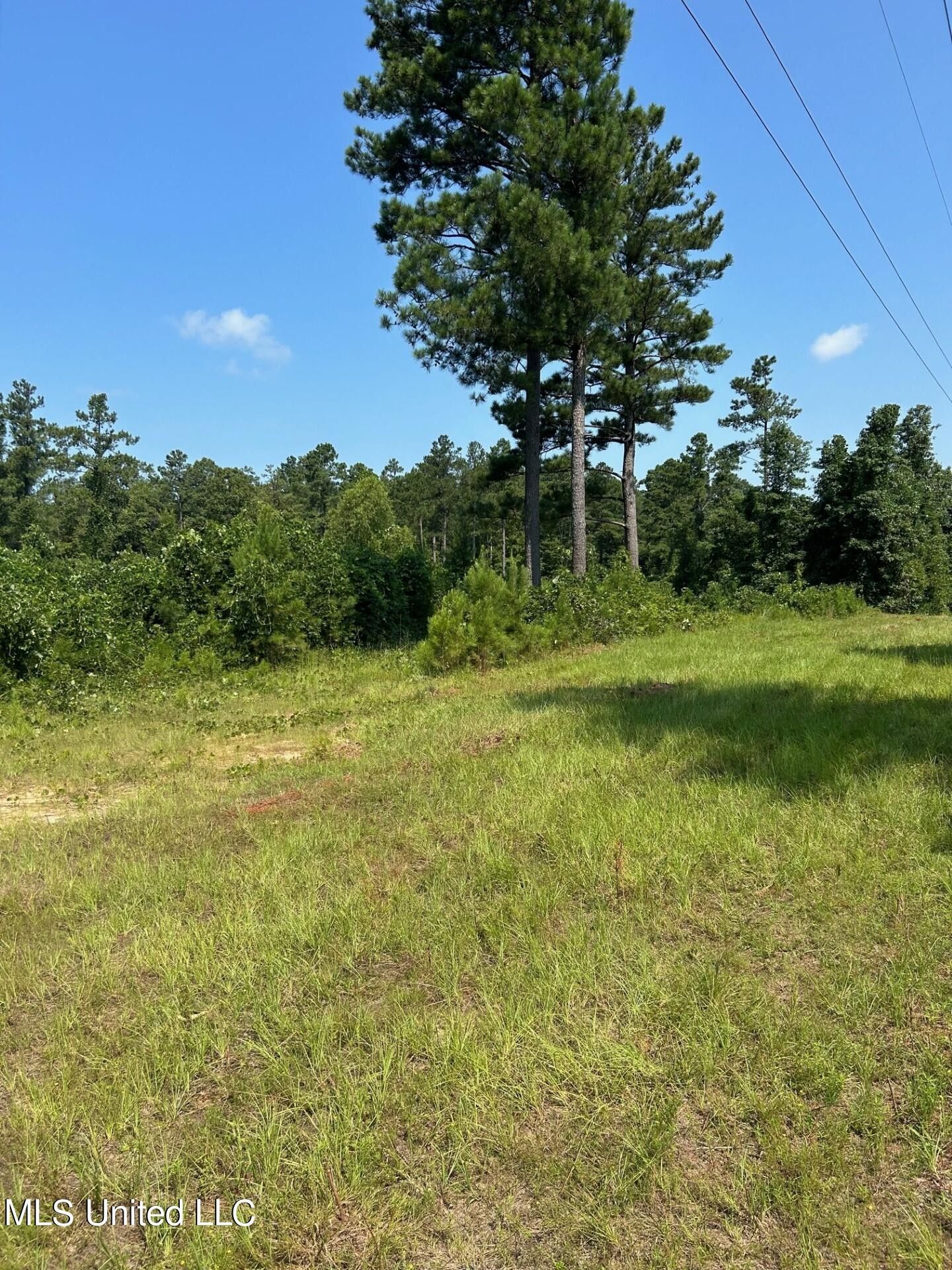 Decatur, Newton County, MS Undeveloped Land for sale Property ID