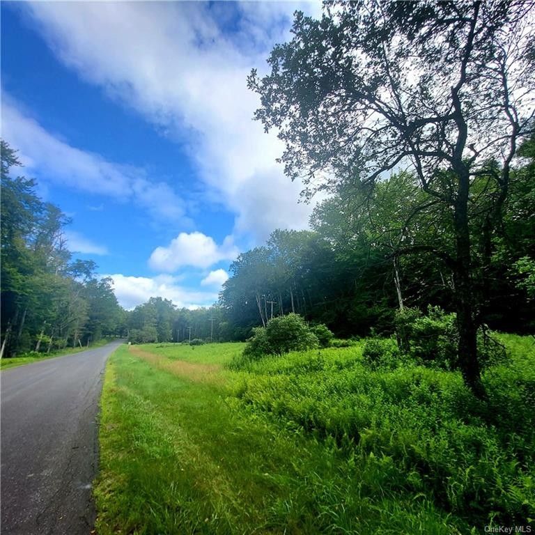 Neversink, Sullivan County, NY Undeveloped Land for sale Property ID