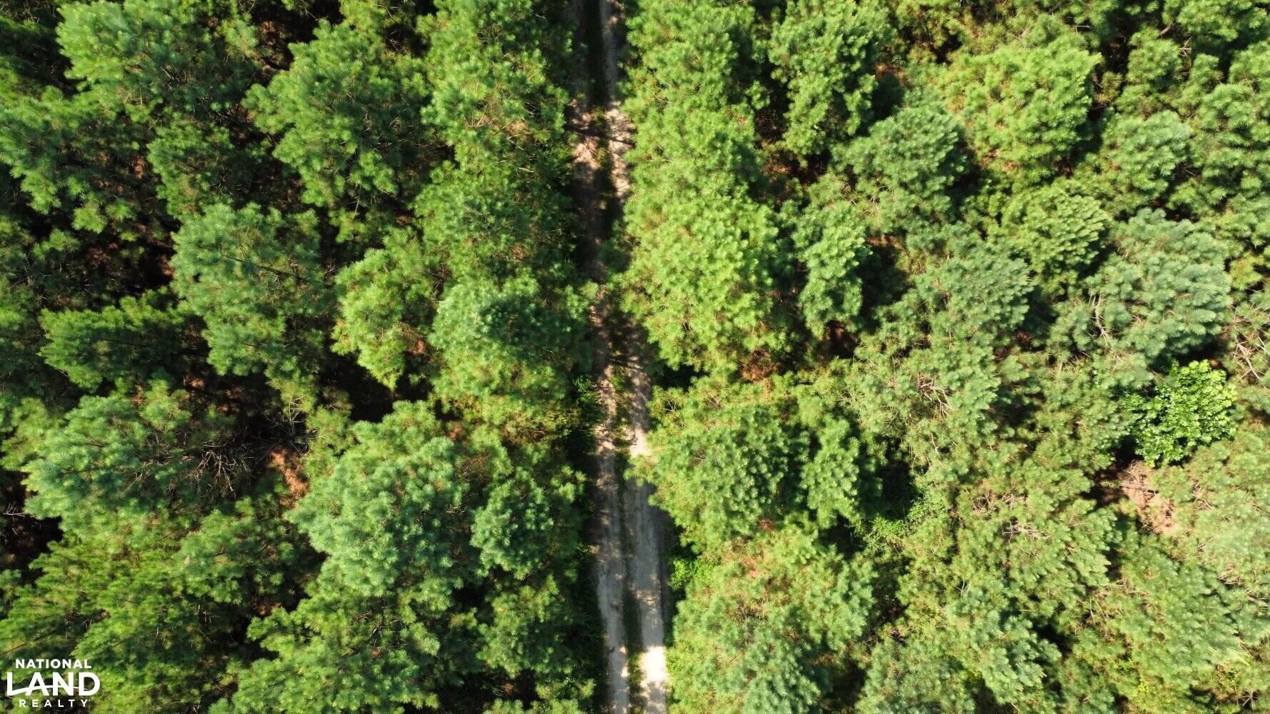 Double Springs, Winston County, AL Recreational Property, Timberland