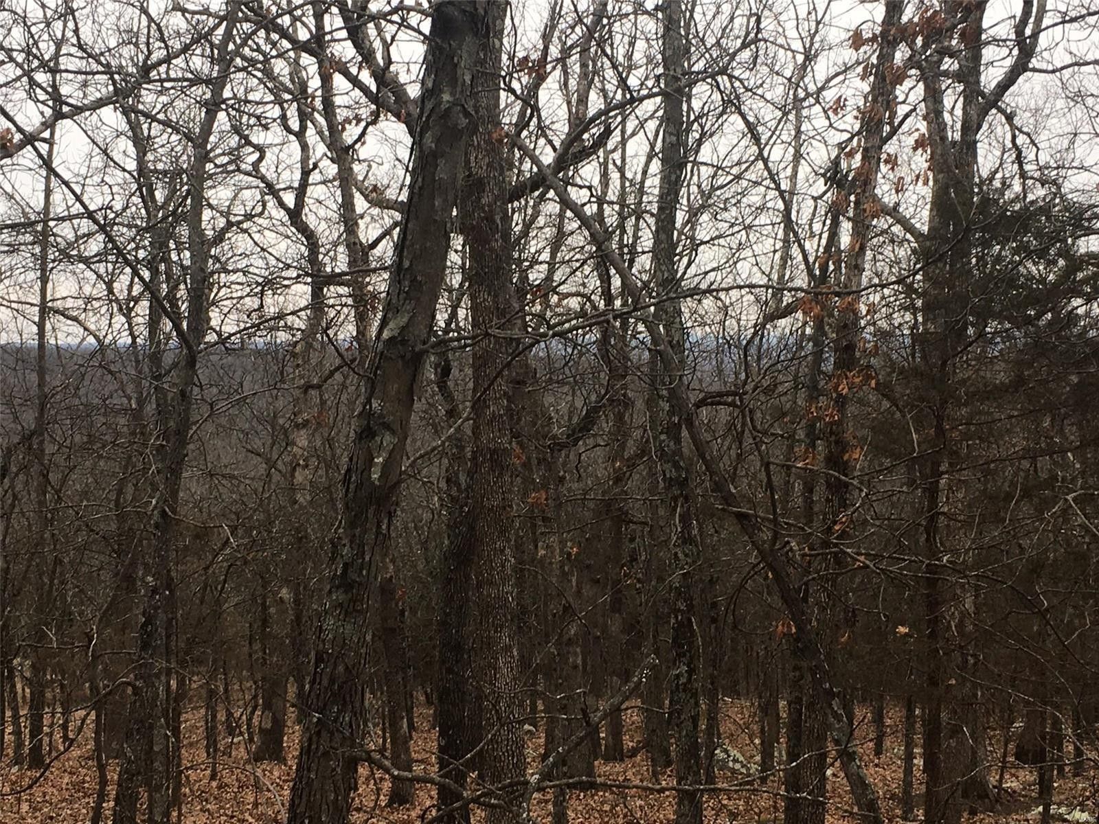 Park Hills, Saint Francois County, MO Farms and Ranches for sale