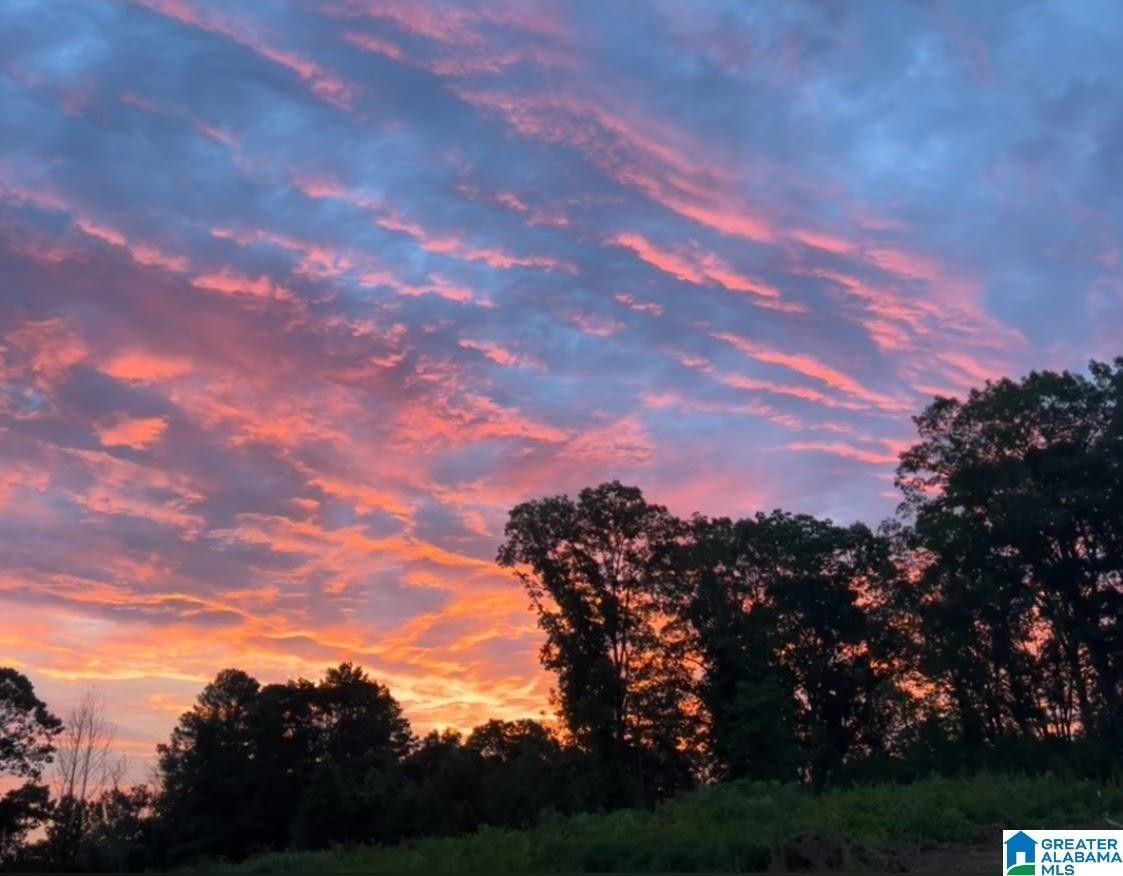 Heflin, Cleburne County, AL Farms and Ranches for sale Property ID