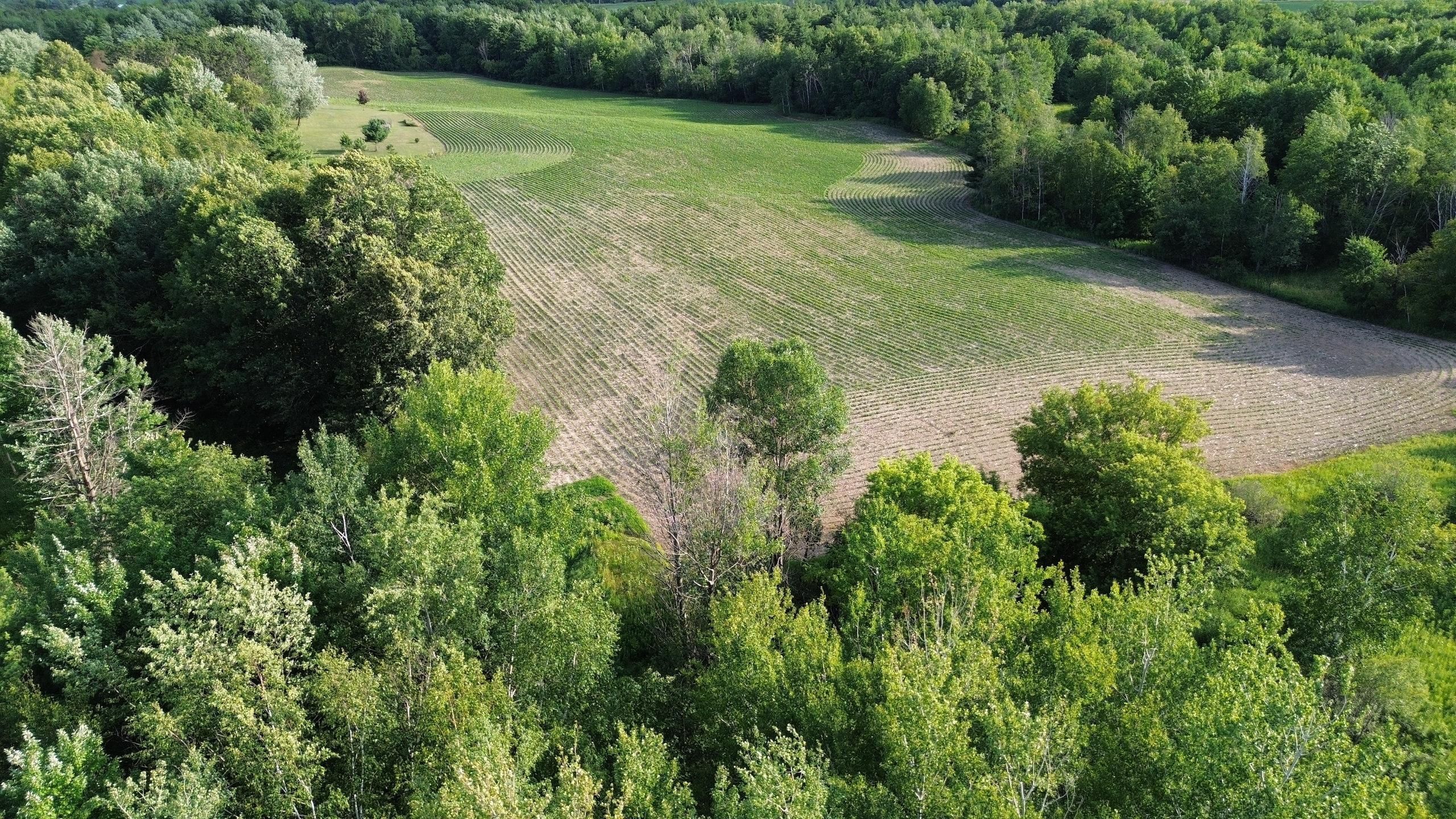 XX 13th St., Clayton, WI 54004 LandWatch