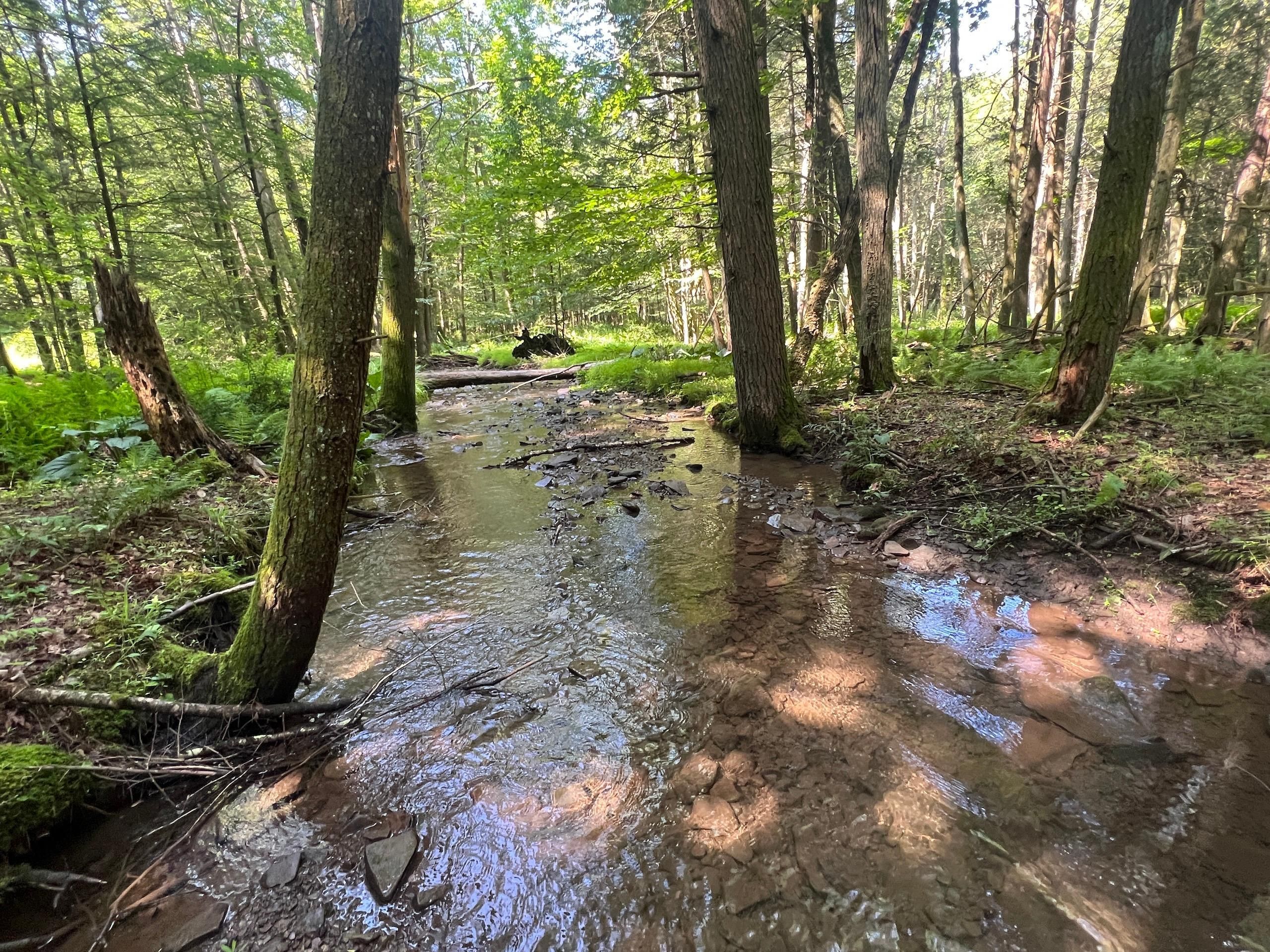 Plymouth, Luzerne County, PA Recreational Property, Timberland Property