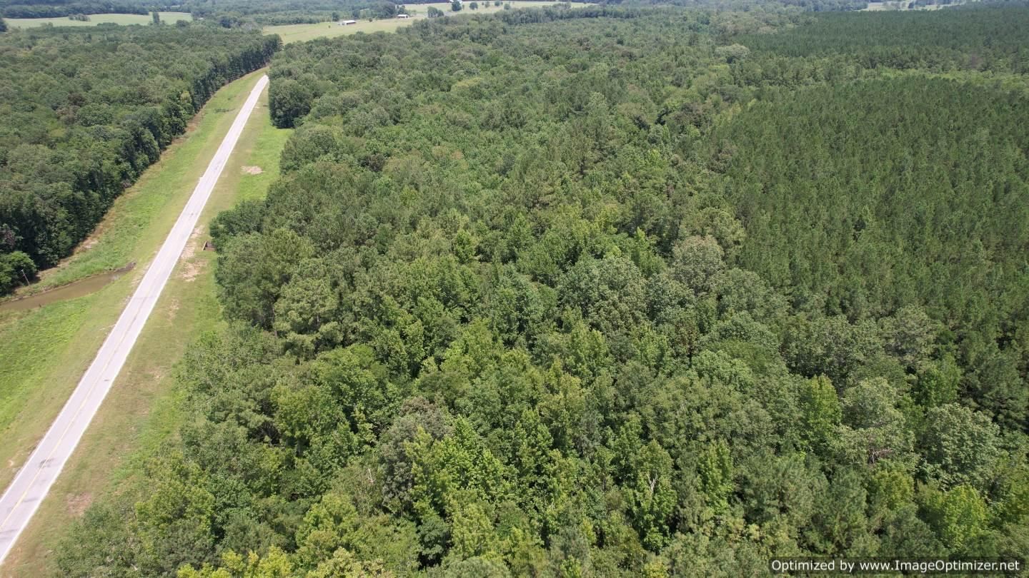 Lawrence, Newton County, MS Recreational Property, Timberland Property