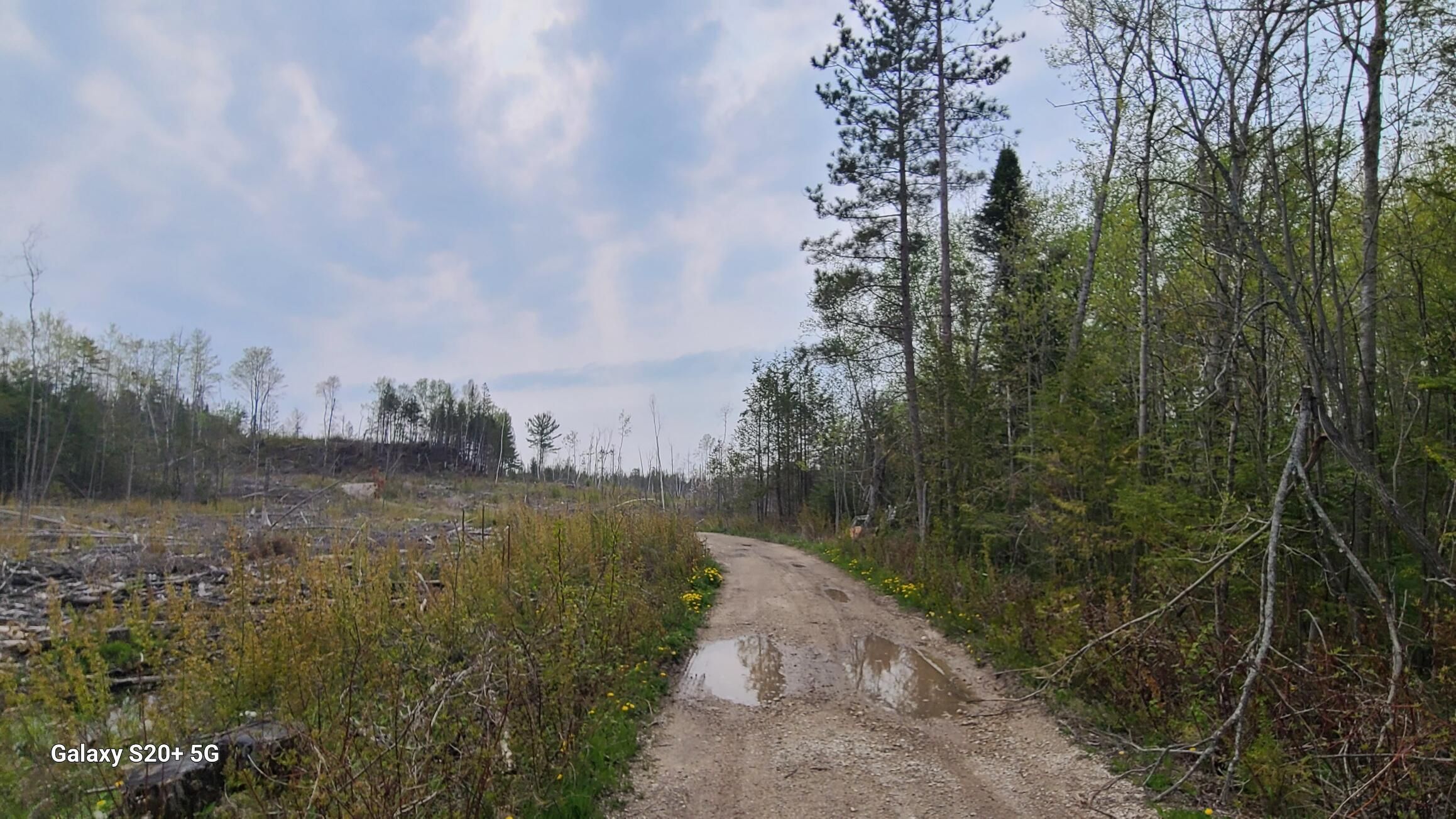 00 Bashore Rd, Saint Ignace, MI 49781 MLS 2319 LandWatch