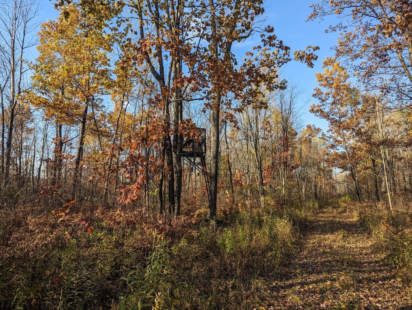 Exeland, Sawyer County, WI Recreational Property, Timberland Property