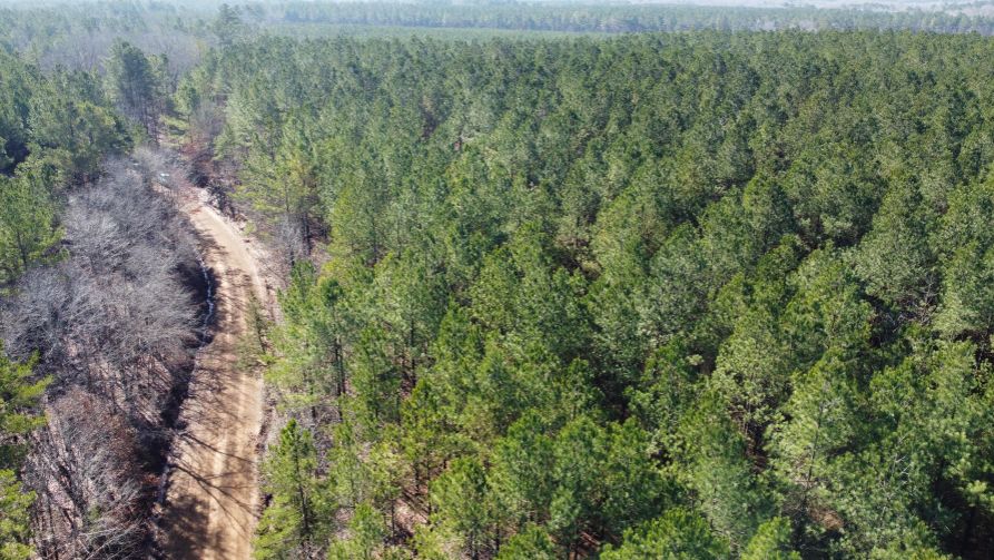 Starkville, Oktibbeha County, MS Recreational Property, Timberland