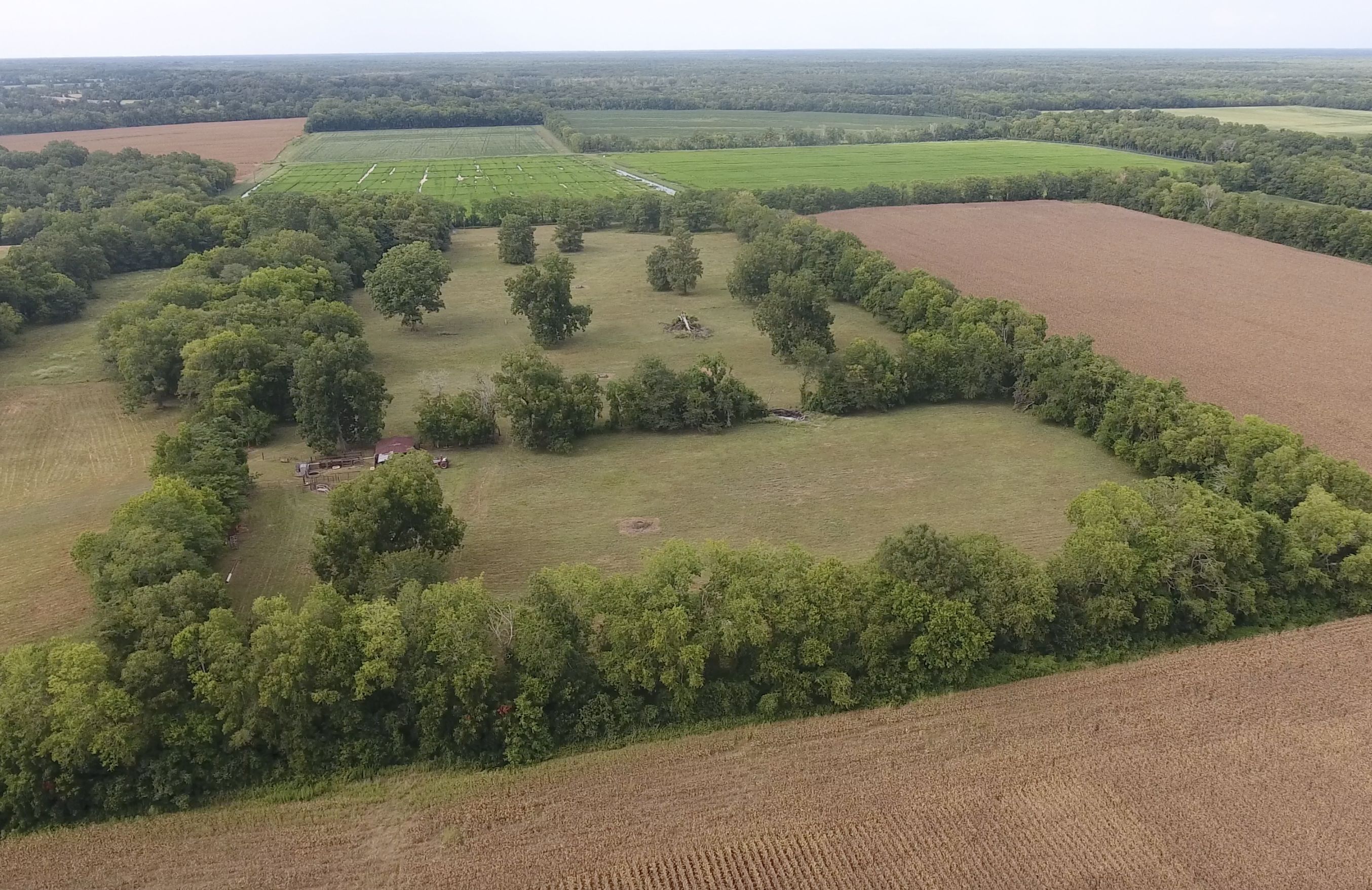 Cottonport, Avoyelles Parish, LA Farms and Ranches, Undeveloped Land