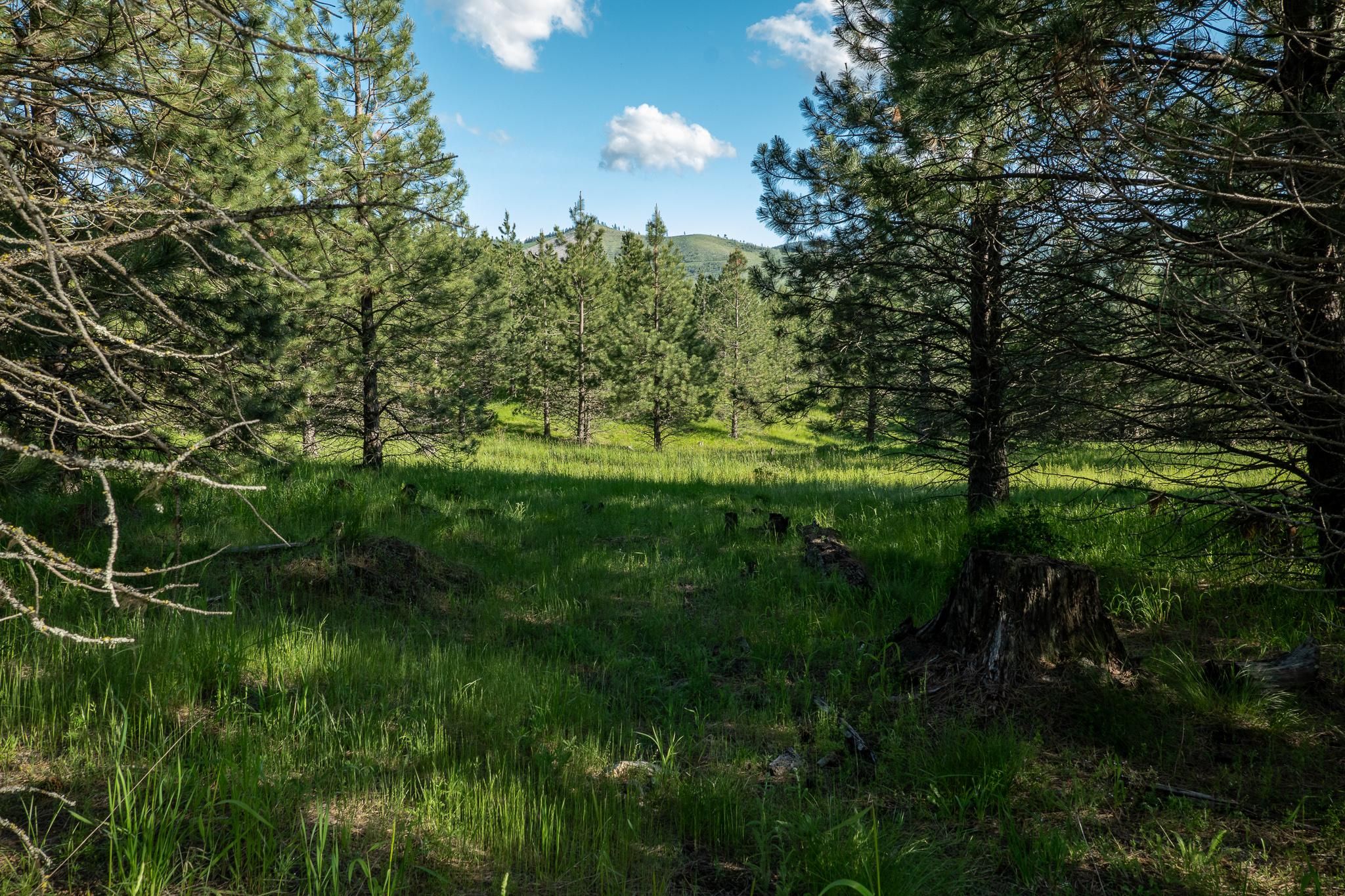 Parcel 13 Sunflower Dr (Santa Creek Estates), St Maries, ID 83861 MLS