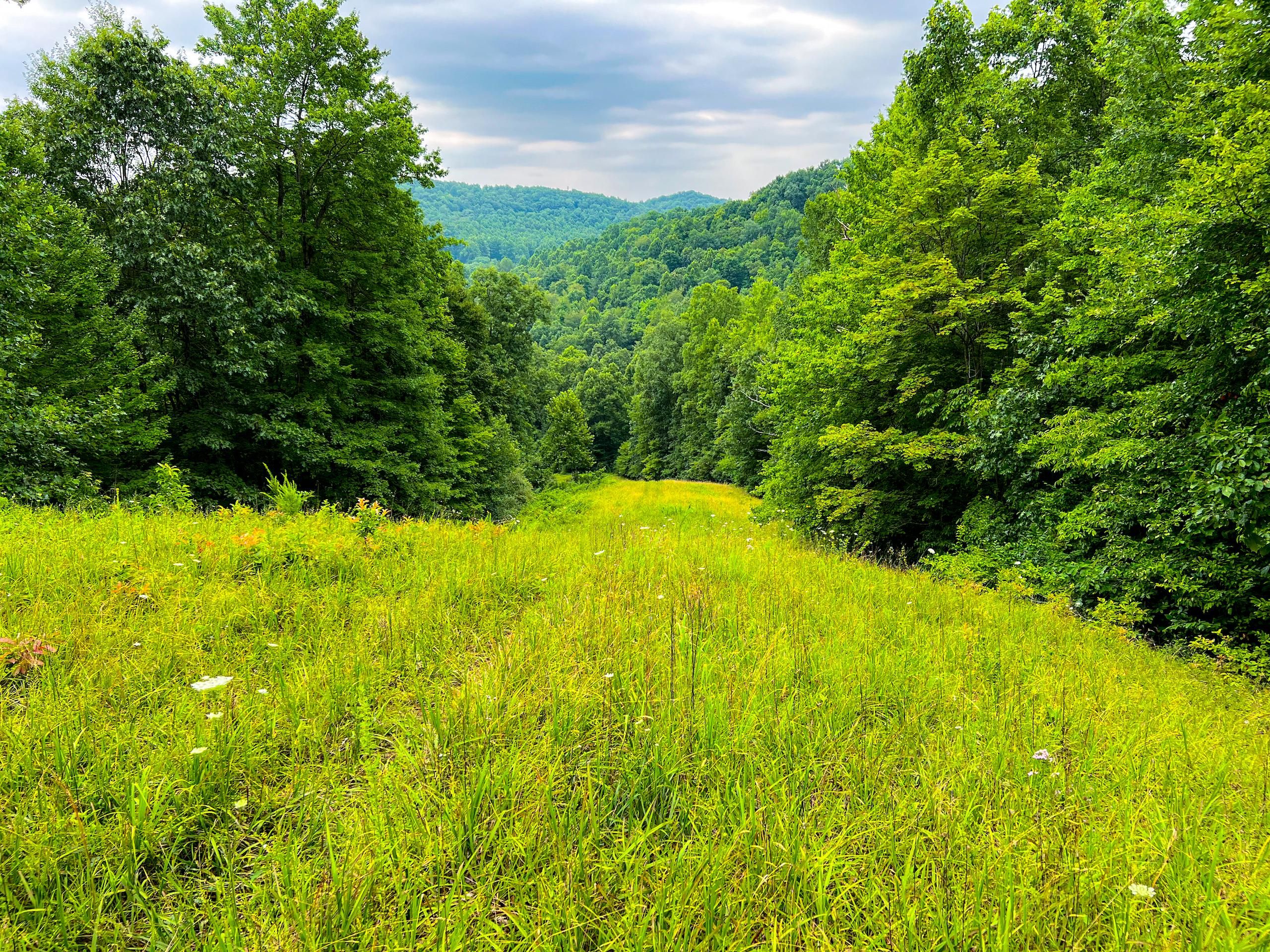 Weston, Lewis County, WV Recreational Property, Timberland Property