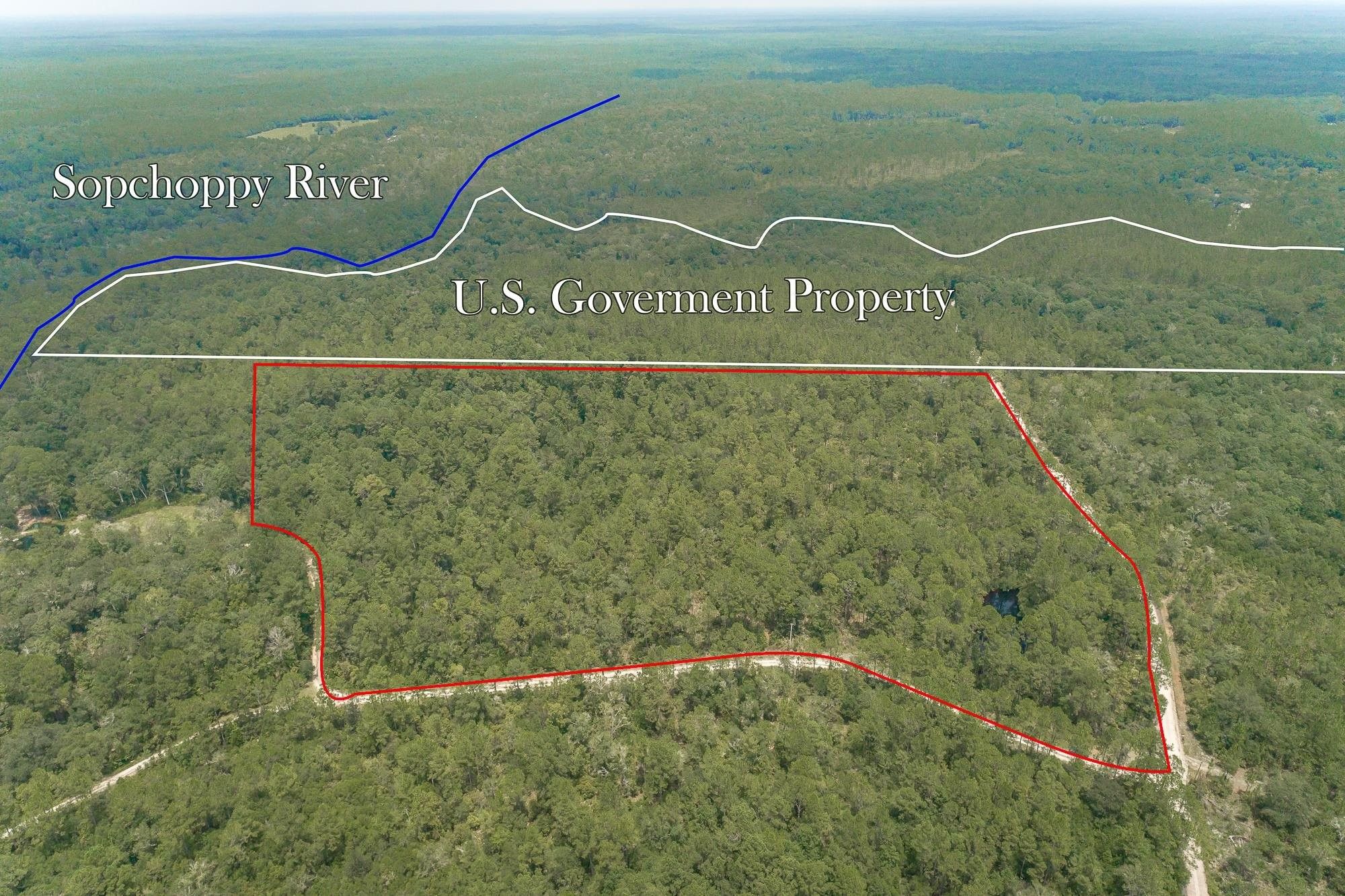 Sopchoppy, Wakulla County, FL Undeveloped Land for sale Property ID