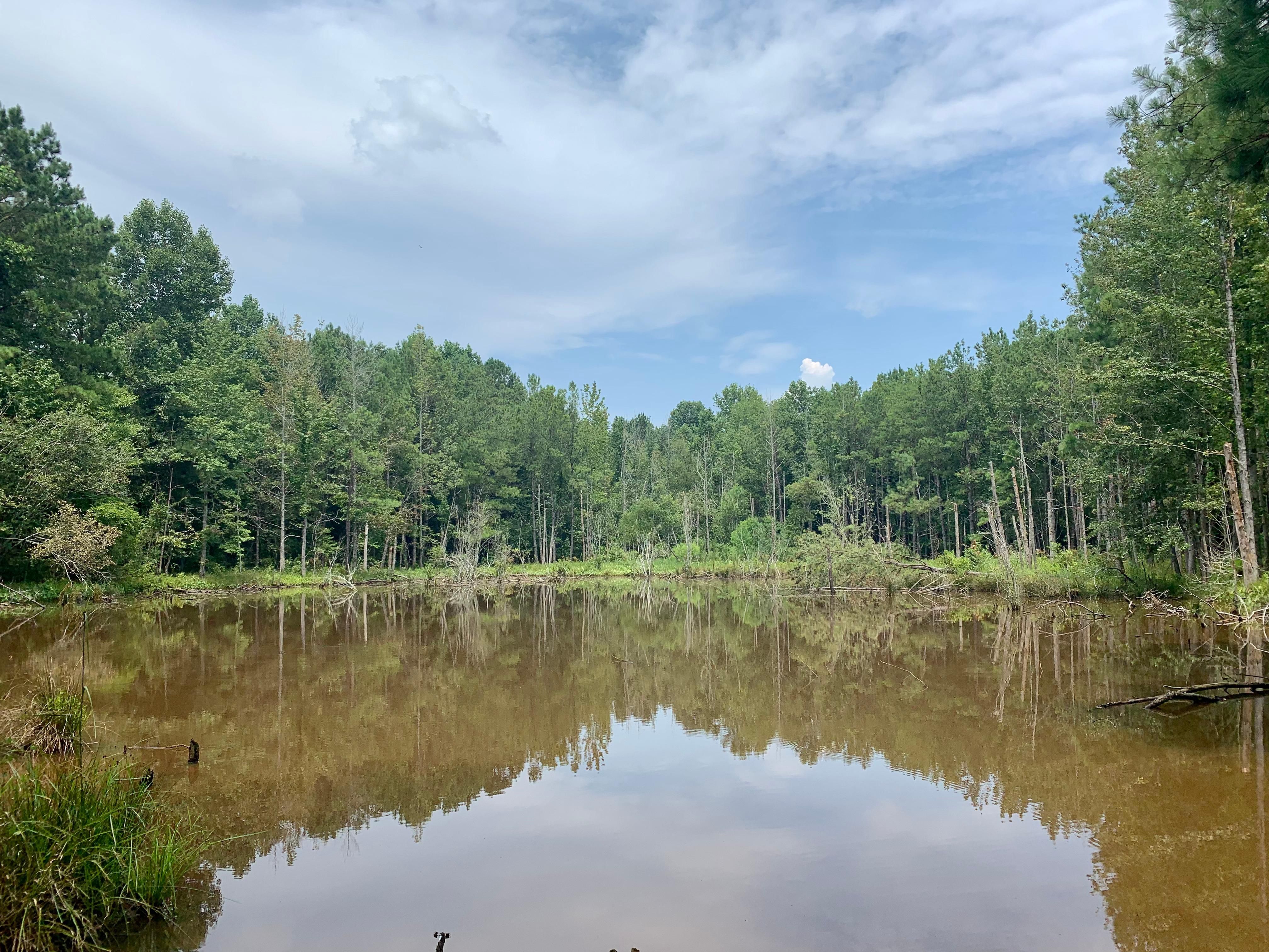 Old Stage Rd, Greenville, AL 36037 LandWatch