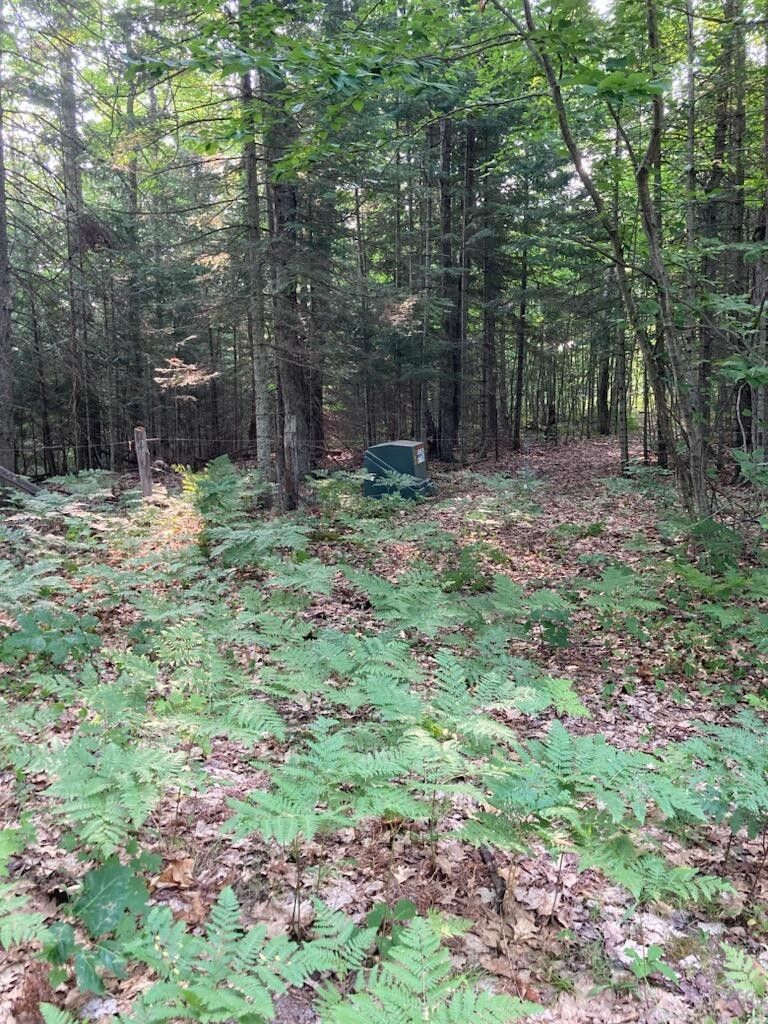 Goetzville, Chippewa County, MI Farms and Ranches for sale Property ID 417207054 LandWatch