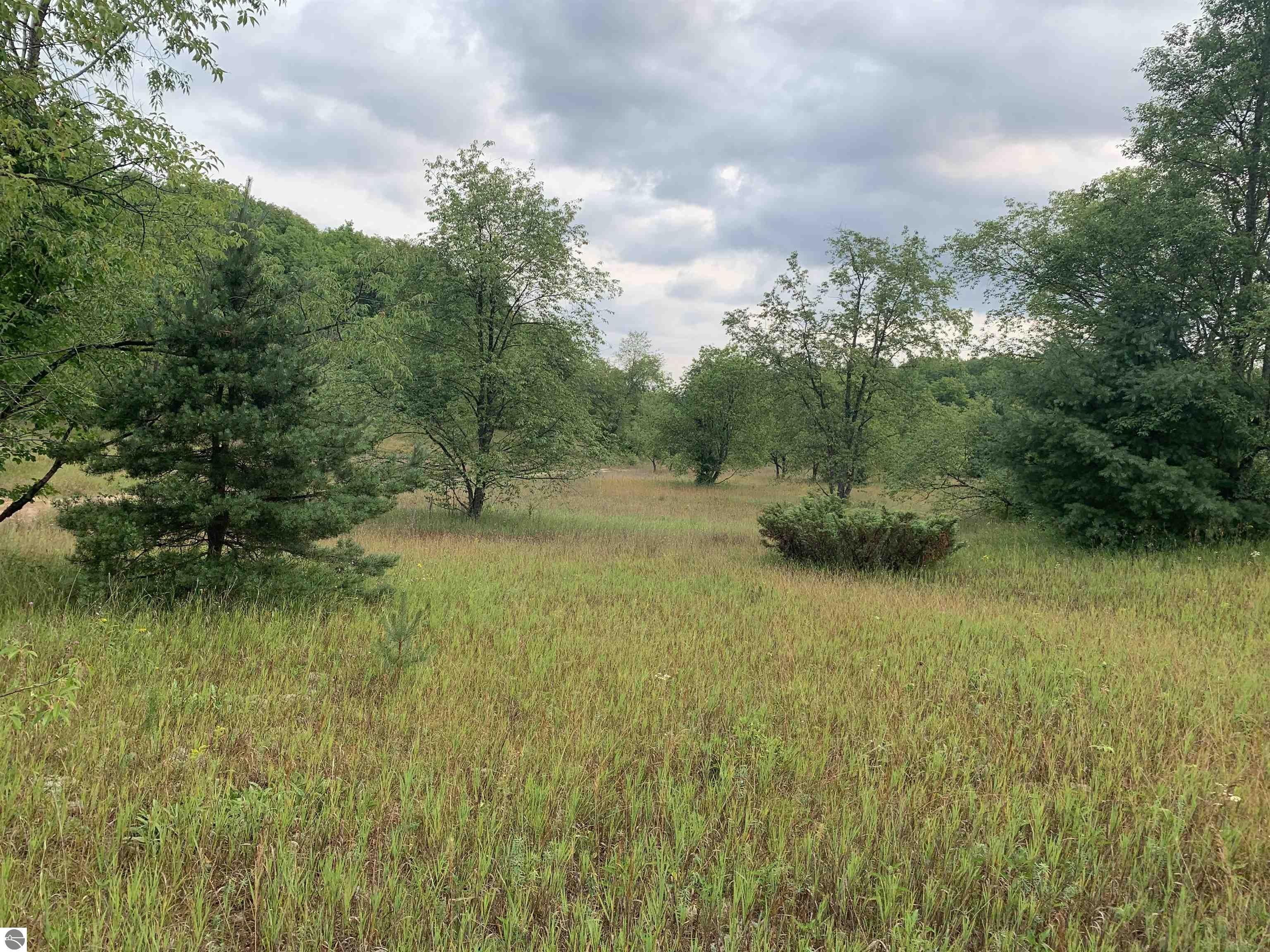 Mancelona, Antrim County, MI Undeveloped Land for sale Property ID