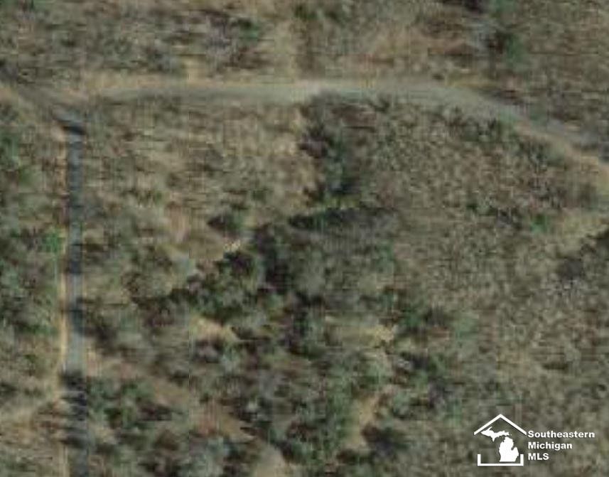 Lewiston, Oscoda County, MI Undeveloped Land, Homesites for sale