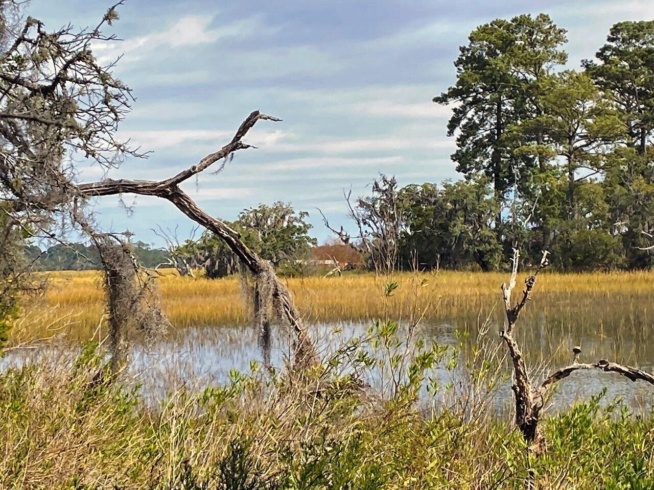 2 Long Island Road, Meggett, SC 29449 MLS 23016225 LandWatch