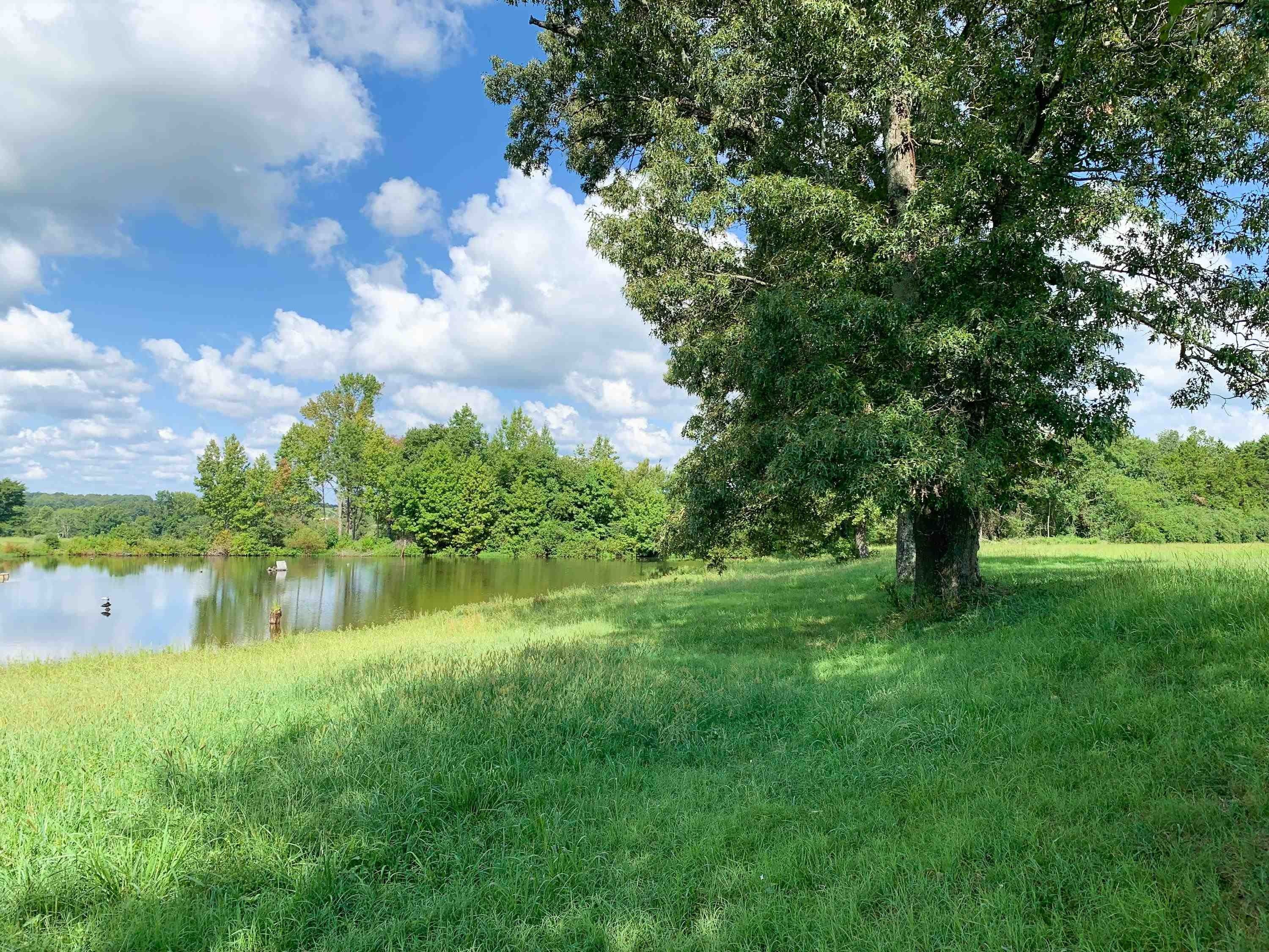 Quitman, Cleburne County, AR Undeveloped Land for sale Property ID