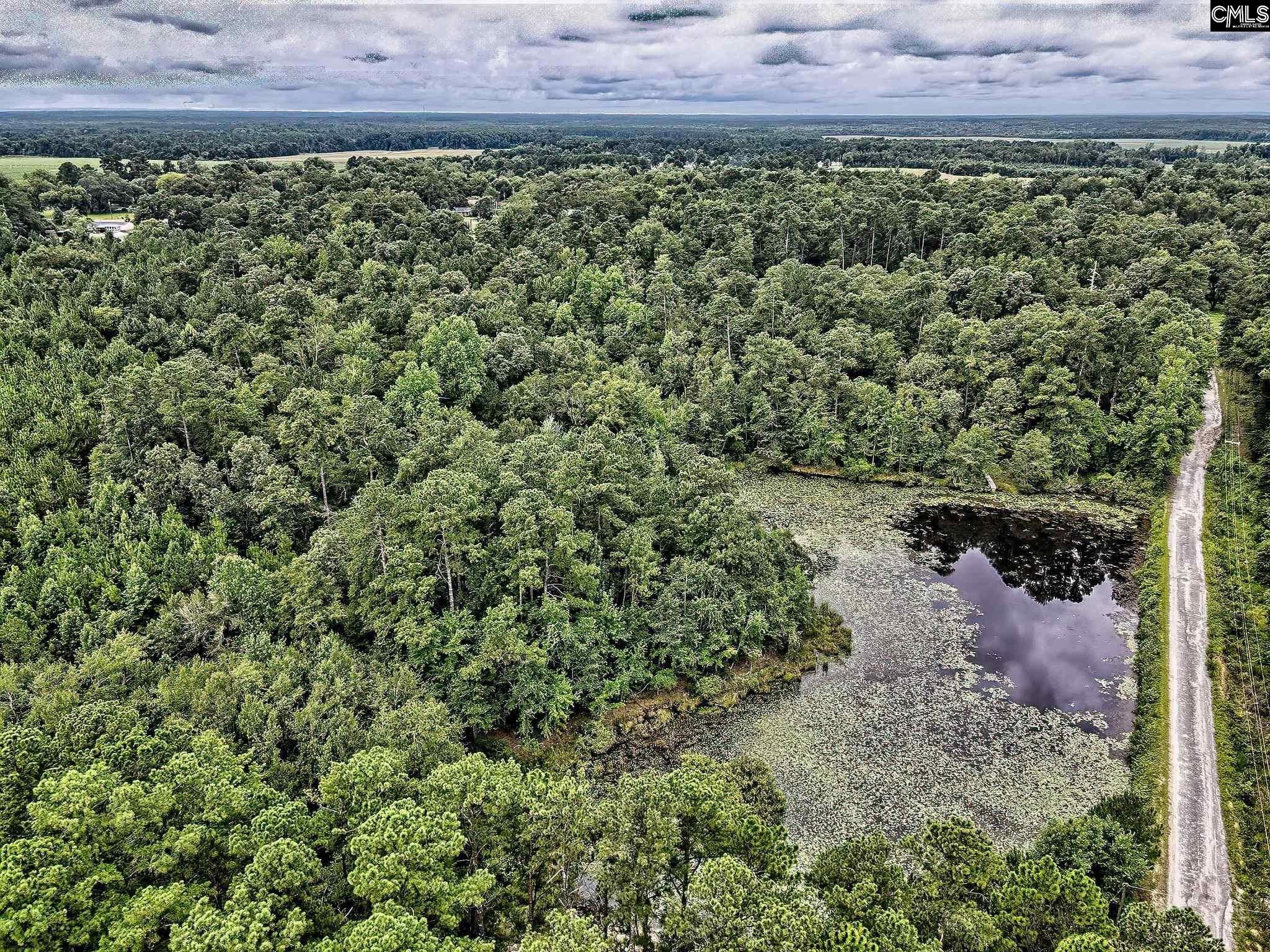 Orangeburg, Orangeburg County, SC Undeveloped Land, Lakefront Property, Waterfront Property for