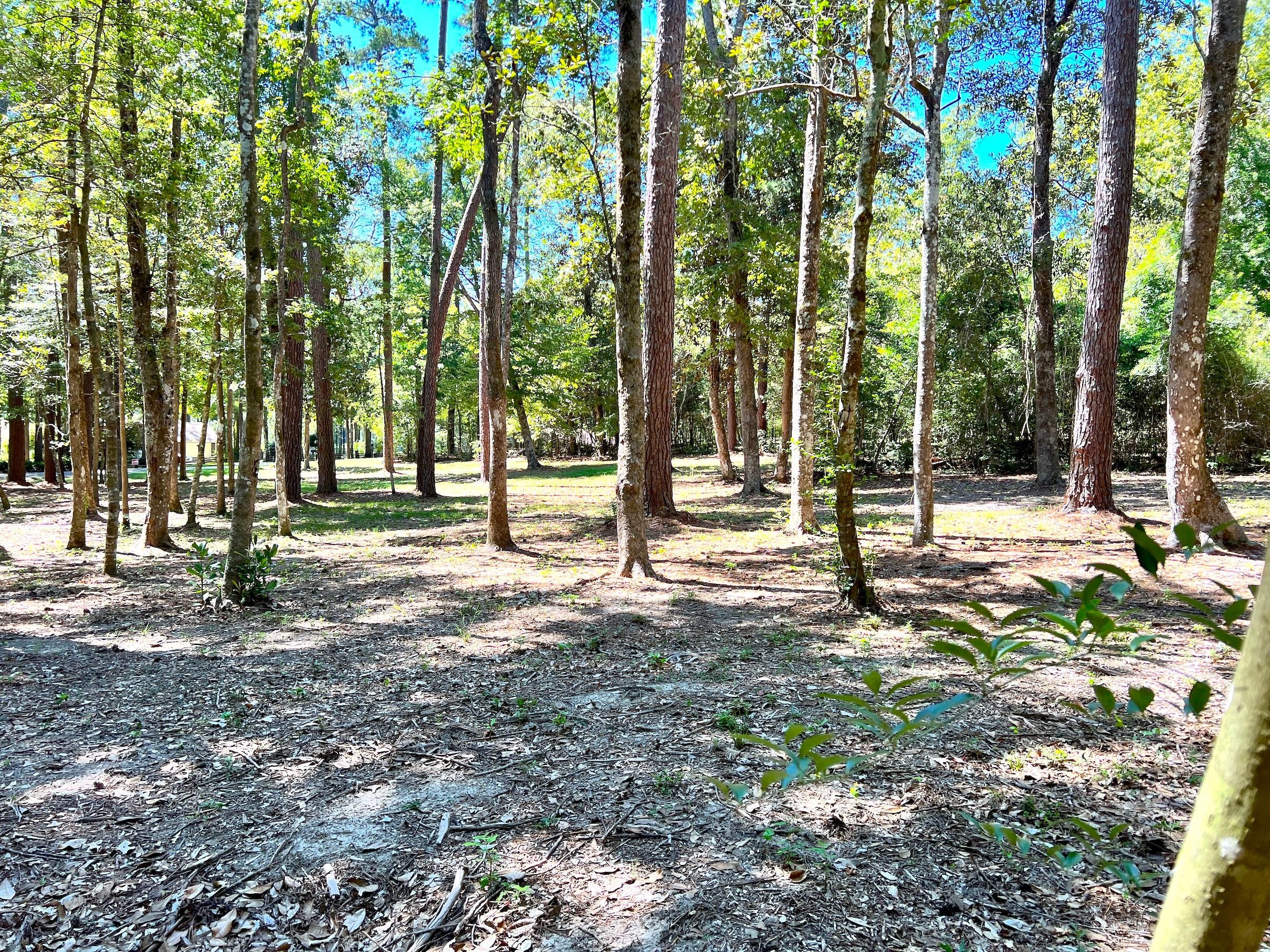 Ramblewood Cir, Woodville, TX 75979 LandWatch