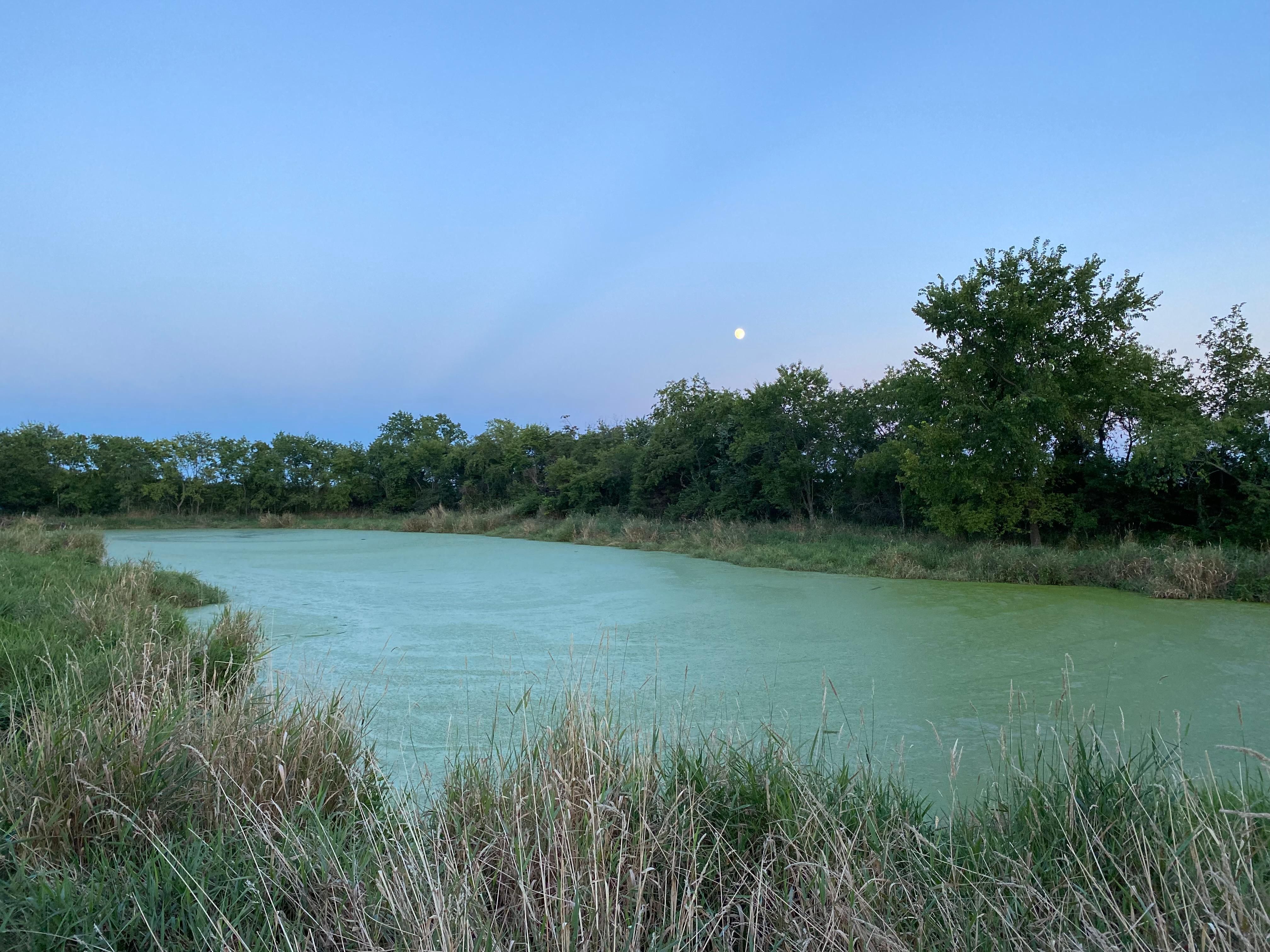 Salem, Dent County, MO Farms and Ranches, Commercial Property, House