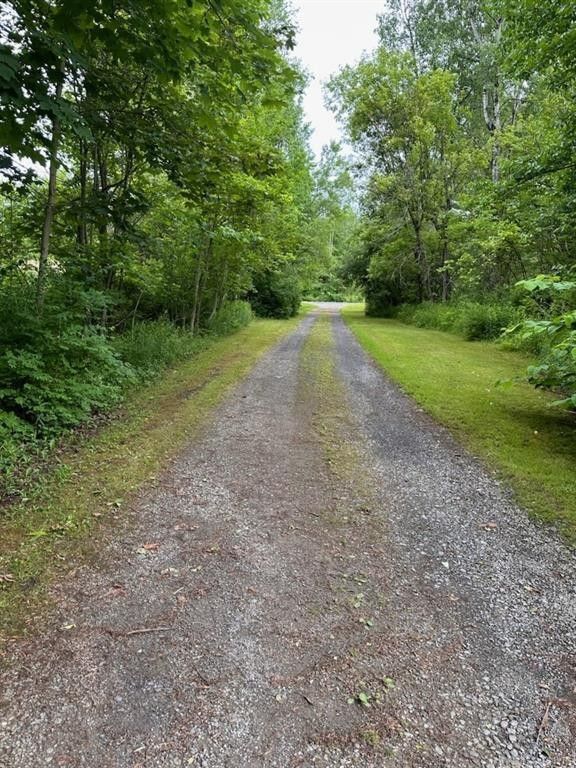 Ava, Oneida County, NY Undeveloped Land for sale Property ID 417210352