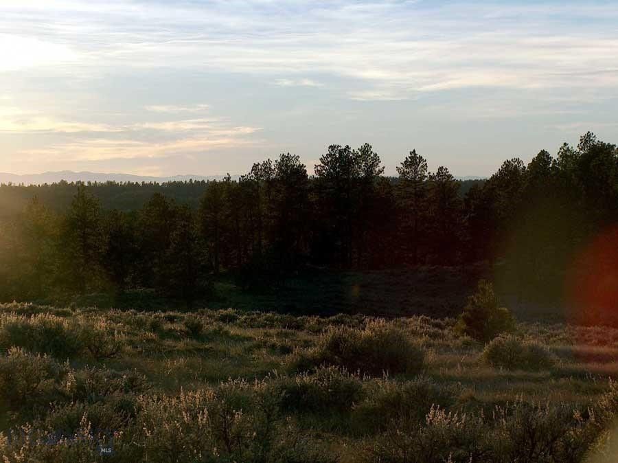 Recluse, Campbell County, WY Undeveloped Land for sale Property ID