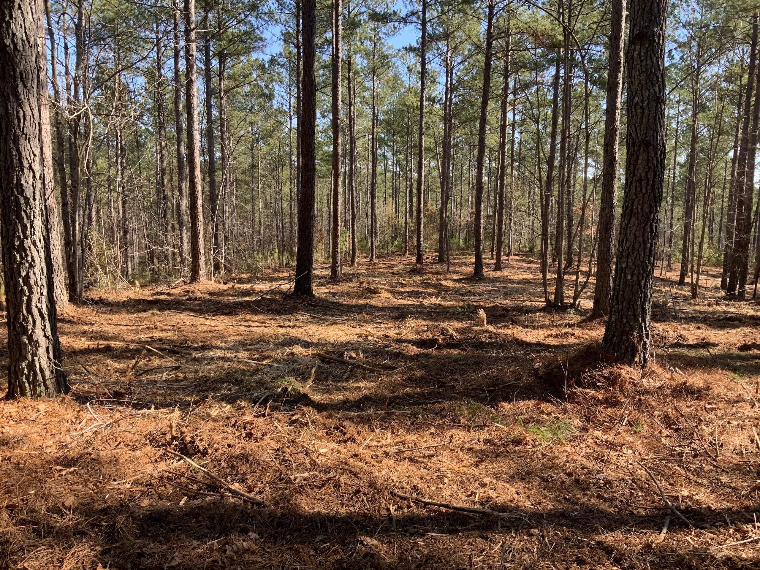 Granite Falls, Caldwell County, NC Recreational Property for sale