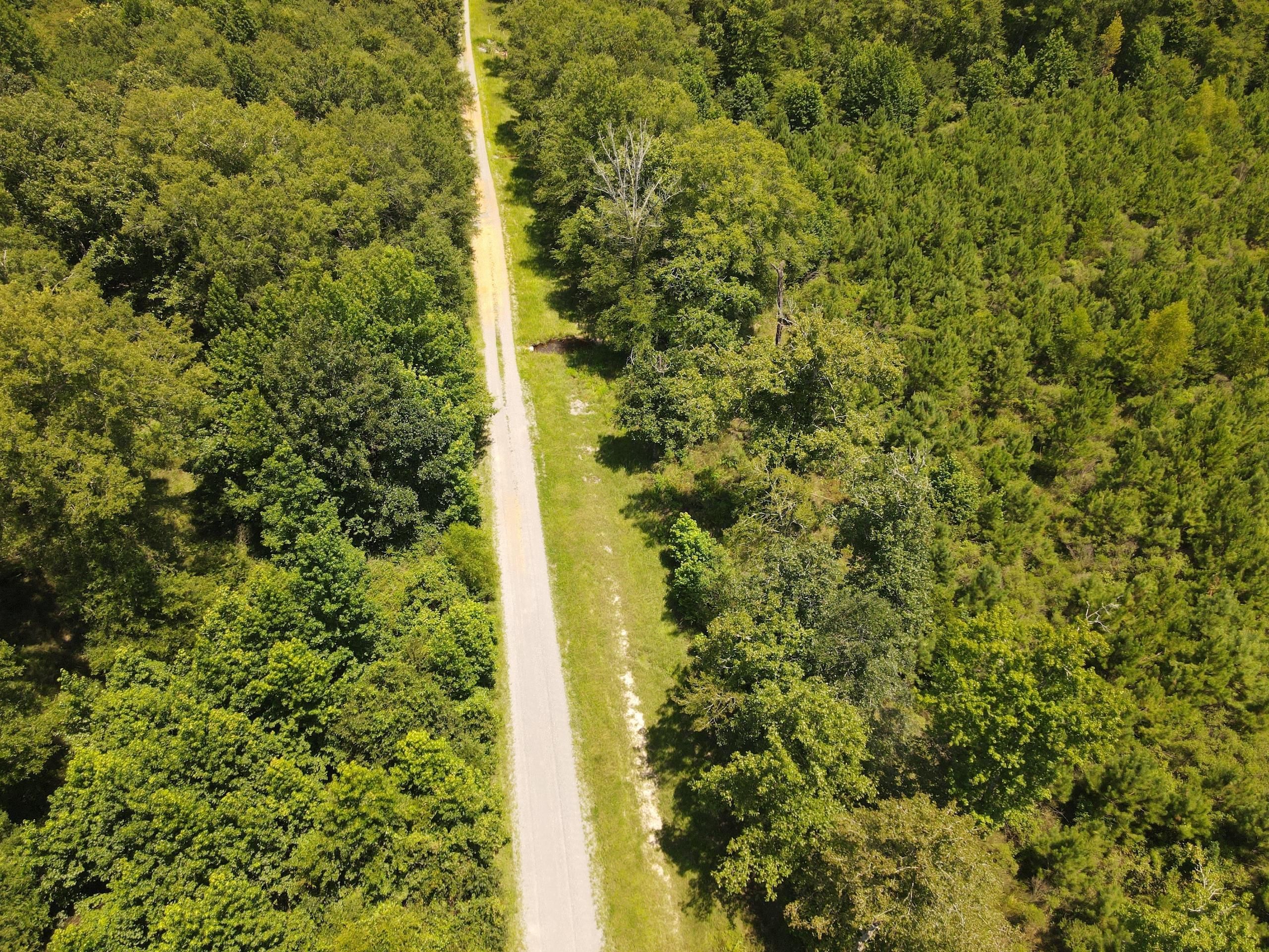 Junction City, Union County, AR Recreational Property, Timberland