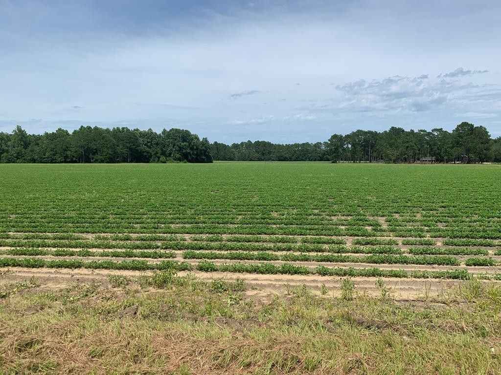 Adel, Cook County, GA for sale Property ID 417214364 LandWatch