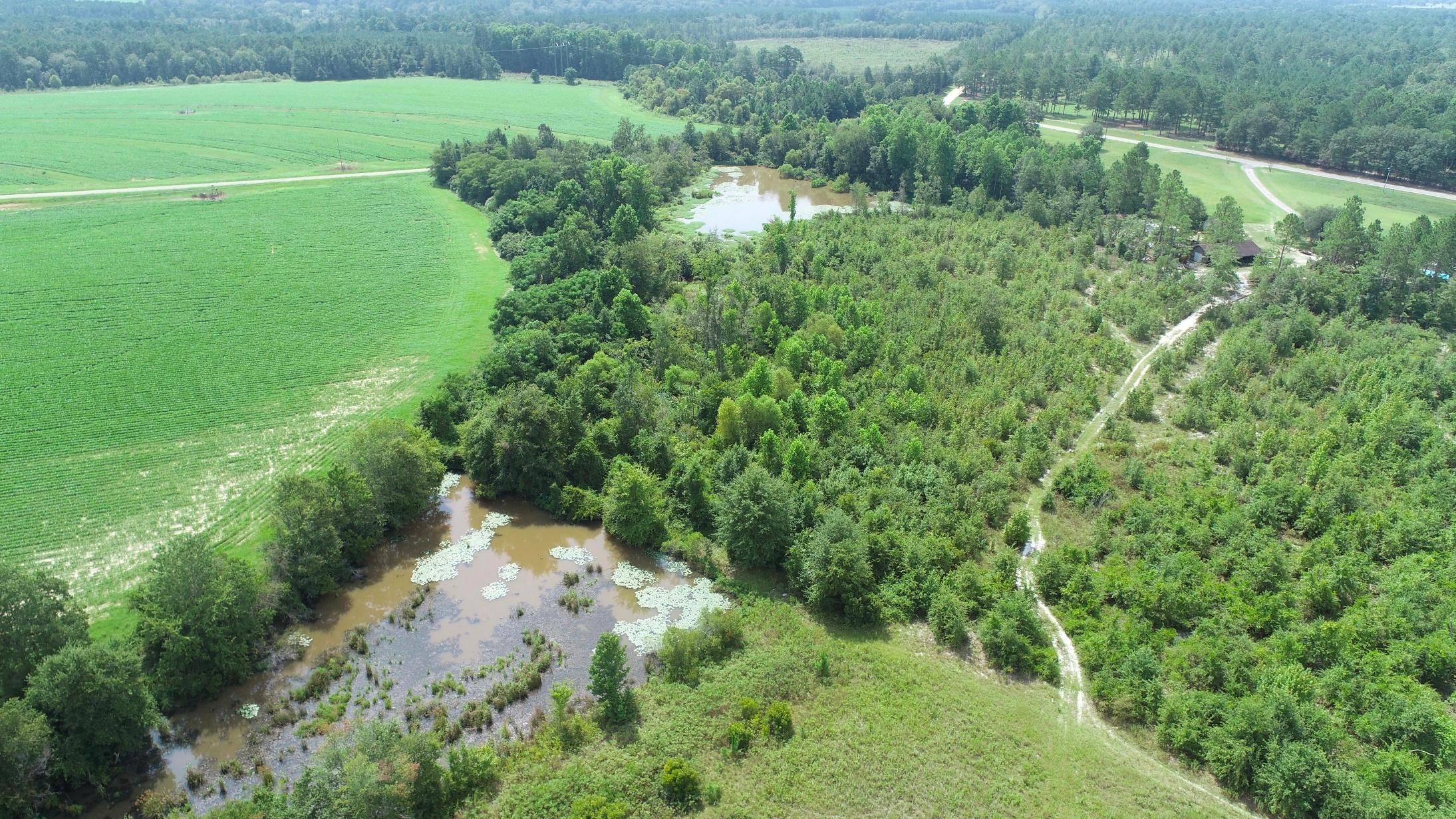 Cobbtown, Tattnall County, GA Recreational Property, Undeveloped Land