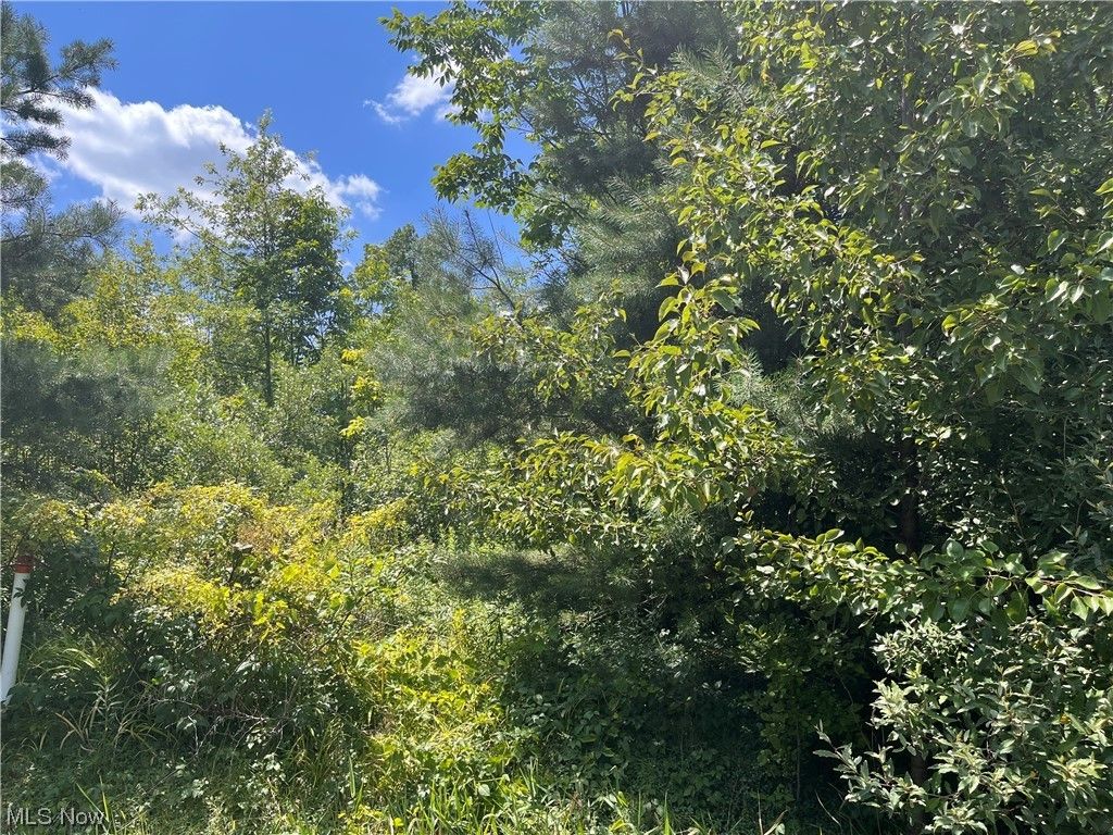 Medina, Medina County, OH Commercial Property, Homesites for sale