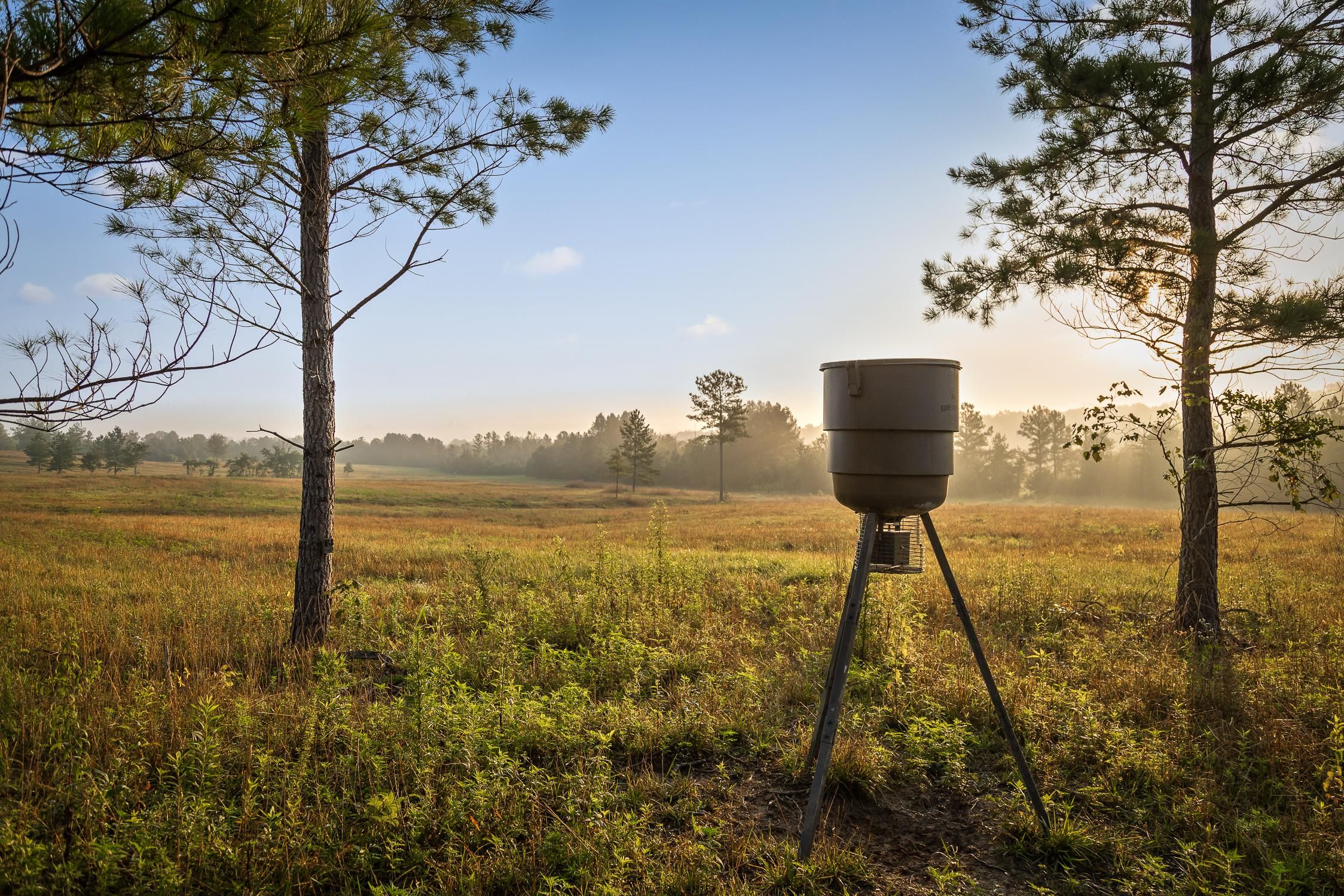 Meigs County, TN Recreational Property, Undeveloped Land