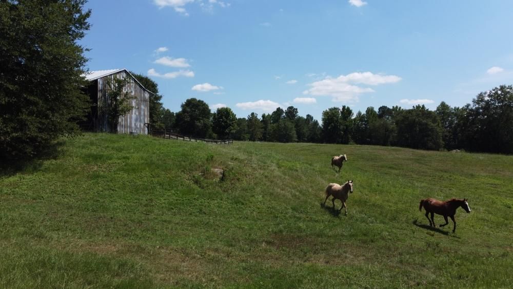 1412 County Road 272, Five Points, AL 36855 LandWatch