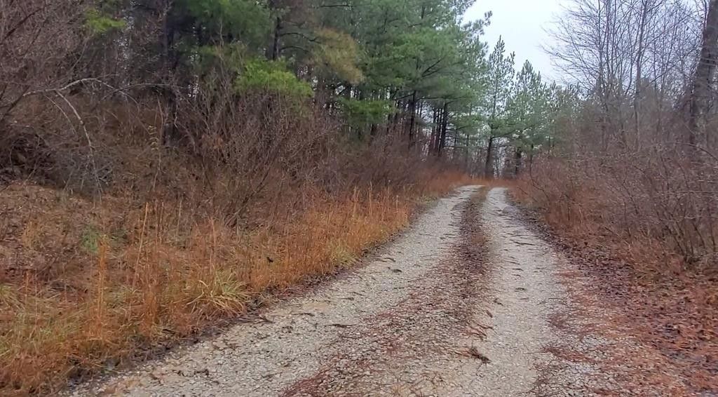 Robbins, Scott County, TN Undeveloped Land for sale Property ID