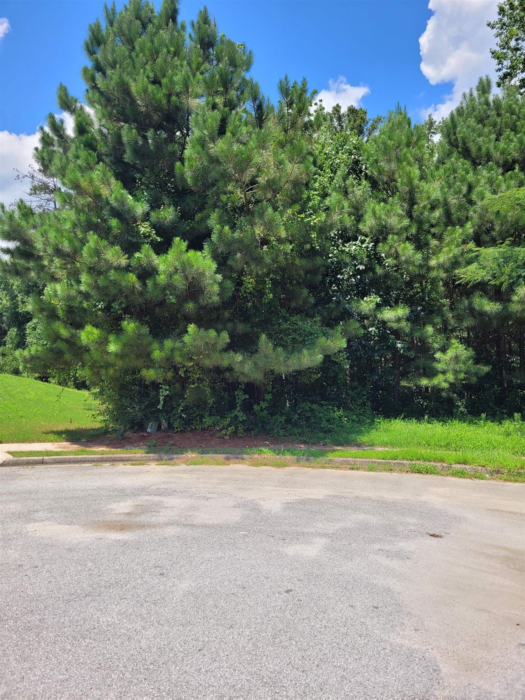 douglasville-douglas-county-ga-farms-and-ranches-homesites-for-sale