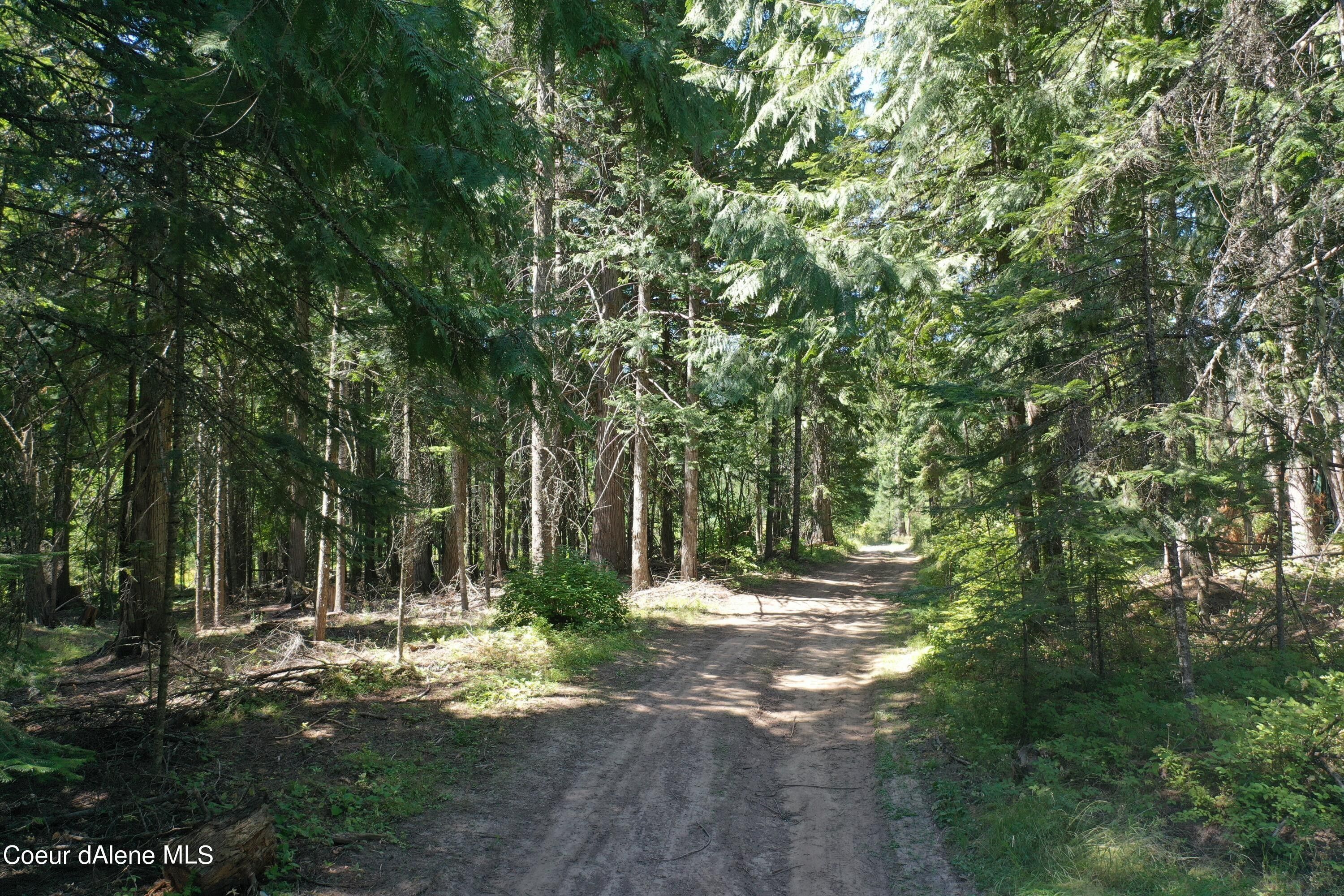Tensed, Benewah County, ID Undeveloped Land, Homesites for sale