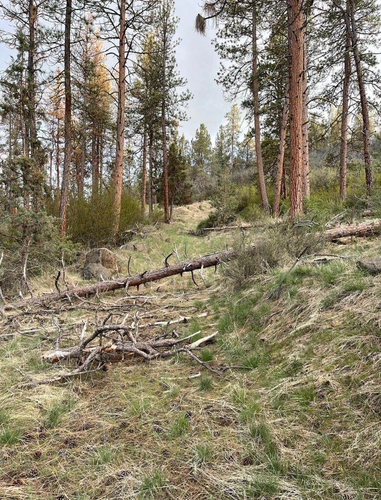 Klamath Falls, Klamath County, OR Undeveloped Land for sale Property ID